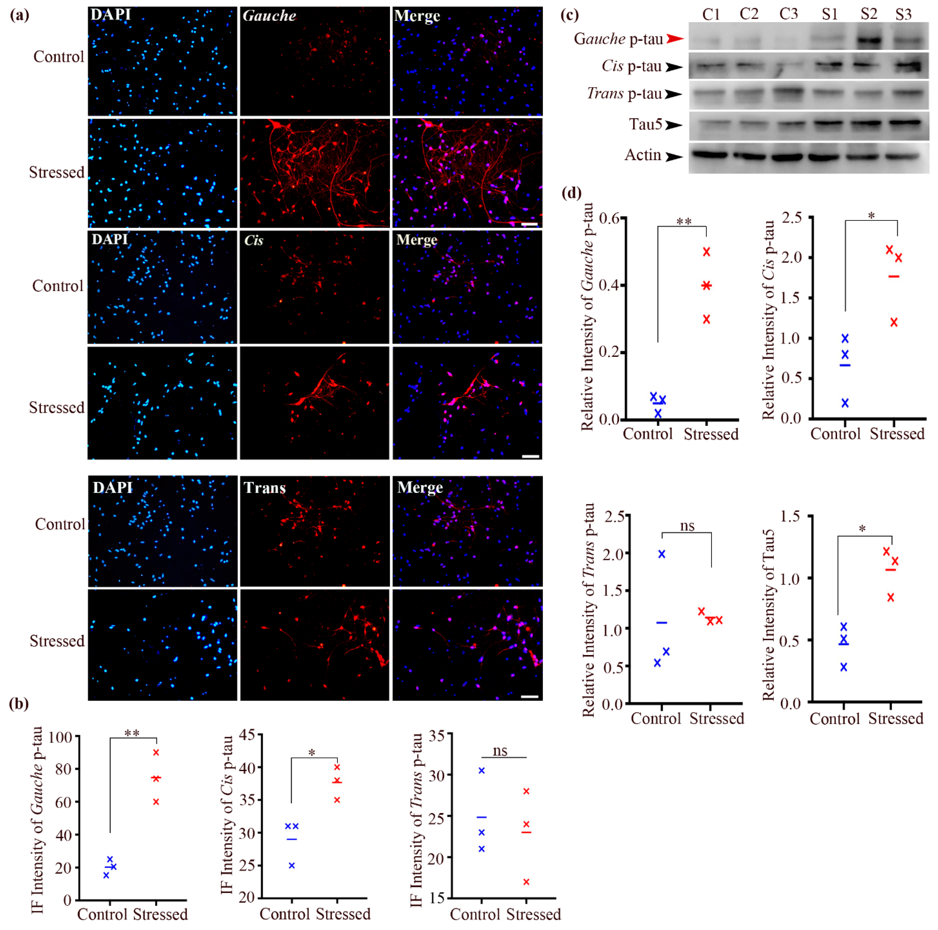 Biomolecules 15 00585 g003 Biomolecules 15 00585 g003