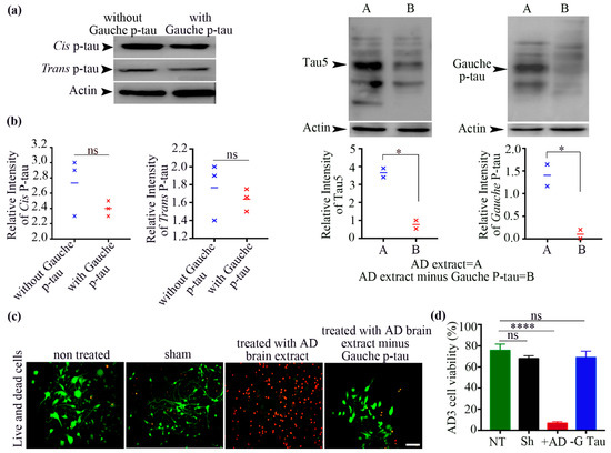 Biomolecules 15 00585 g004