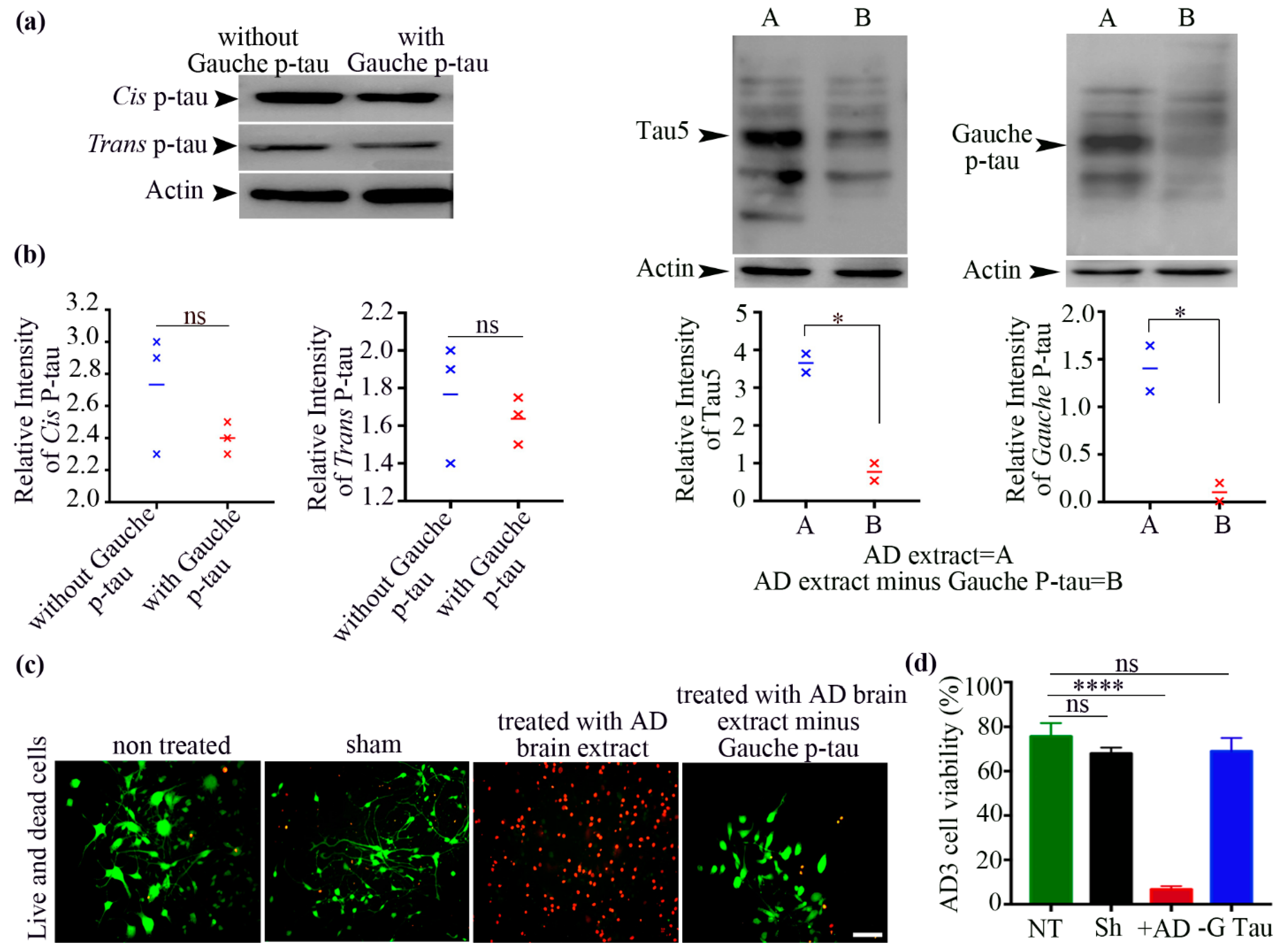 Biomolecules 15 00585 g004 Biomolecules 15 00585 g004