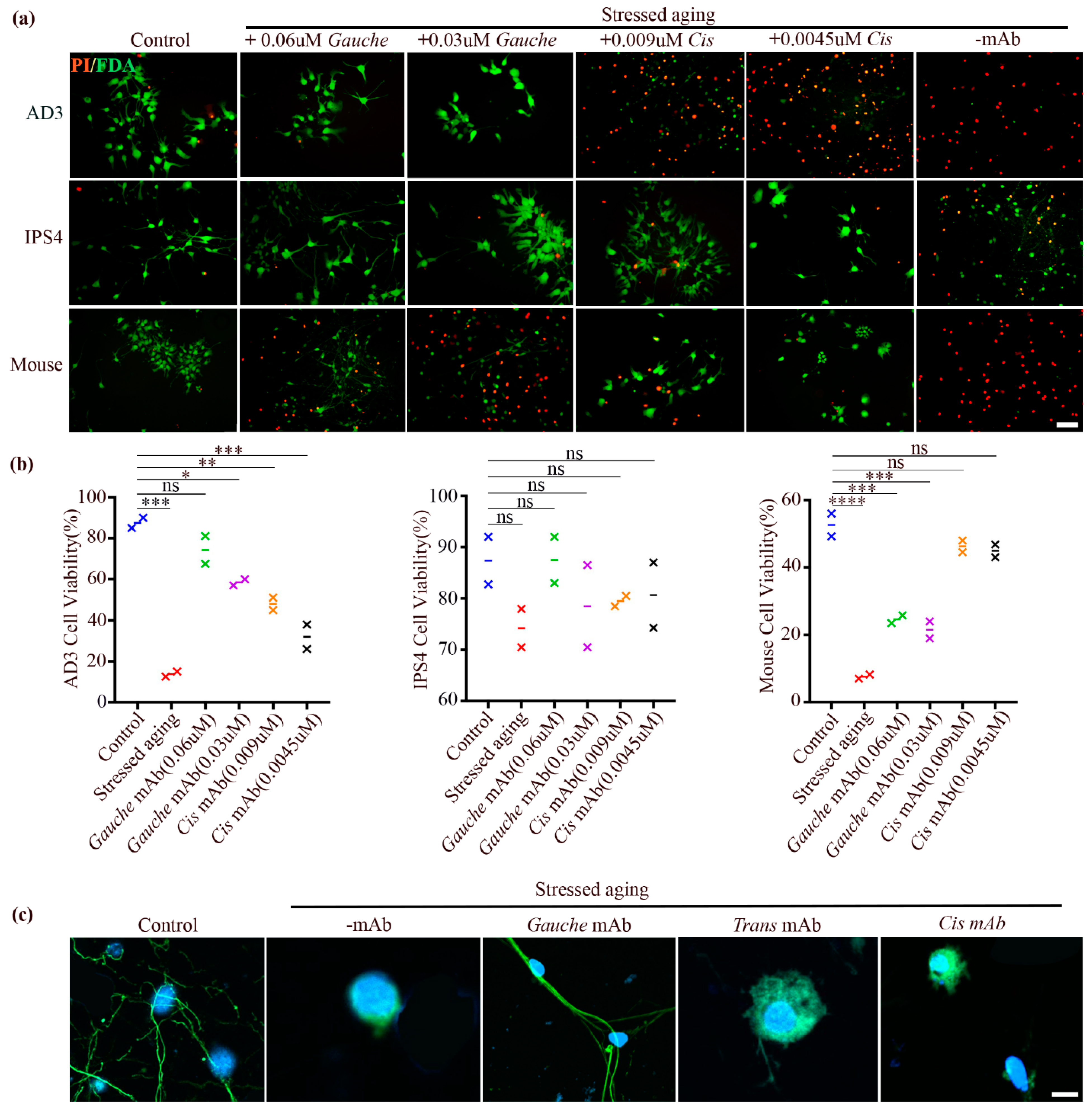 Biomolecules 15 00585 g005 Biomolecules 15 00585 g005