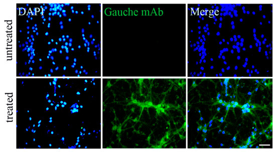 Biomolecules 15 00585 g006