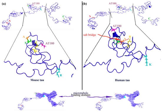Biomolecules 15 00585 g007