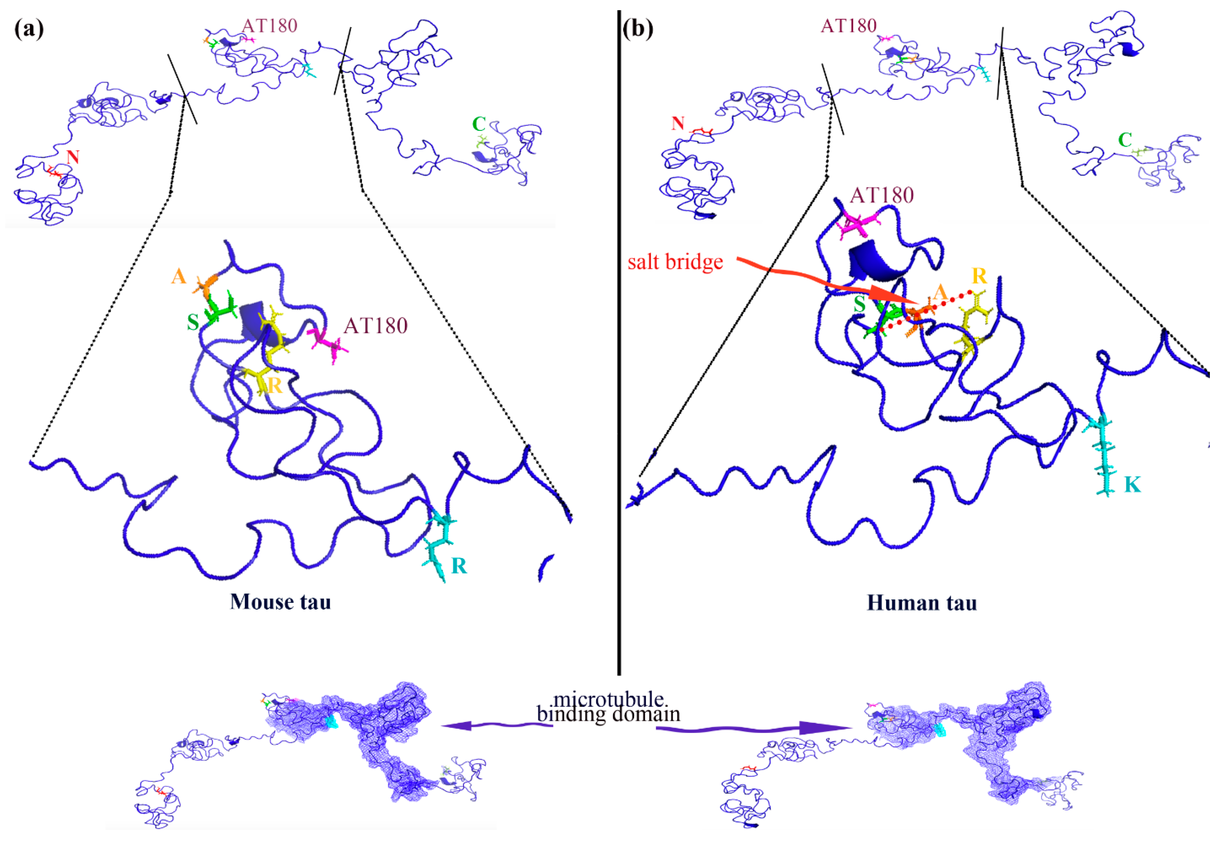 Biomolecules 15 00585 g007 Biomolecules 15 00585 g007
