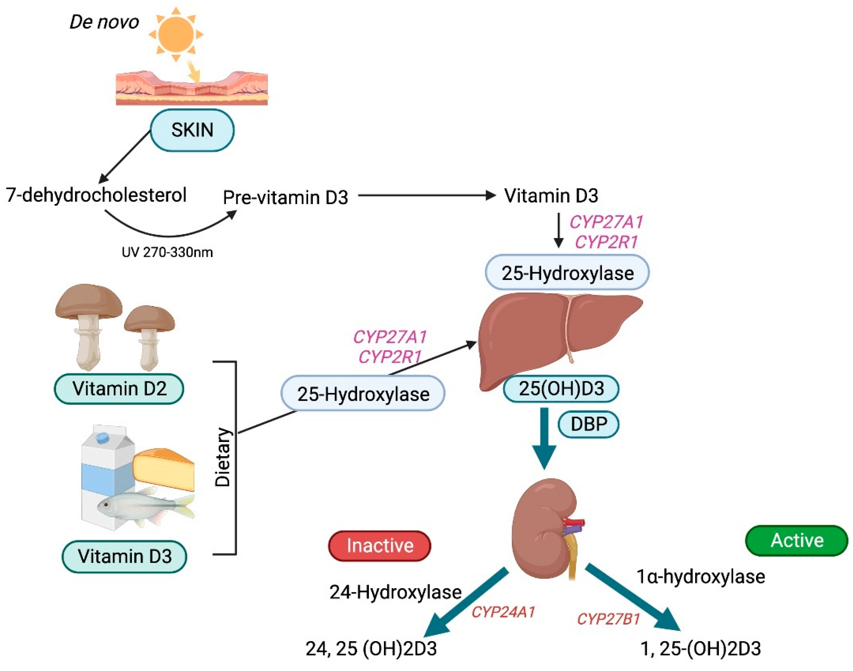 Biomolecules 15 00586 g002