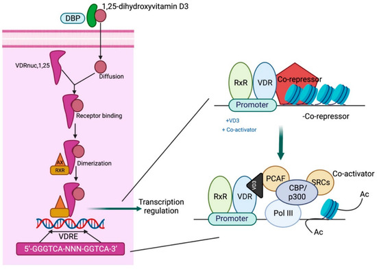 Biomolecules 15 00586 g003