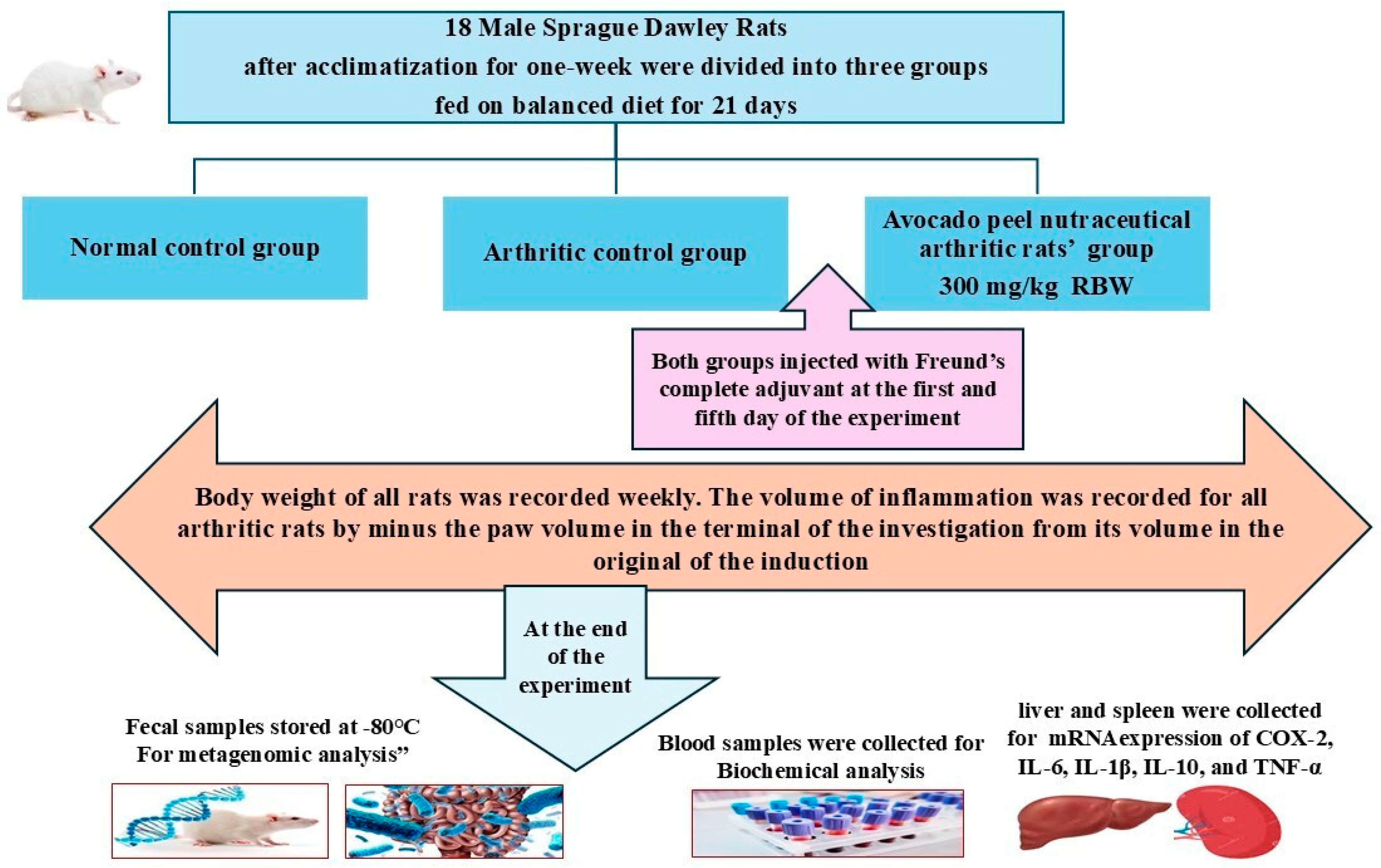Biomolecules 15 00590 g001