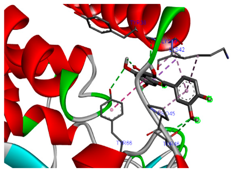 Biomolecules 15 00590 i004