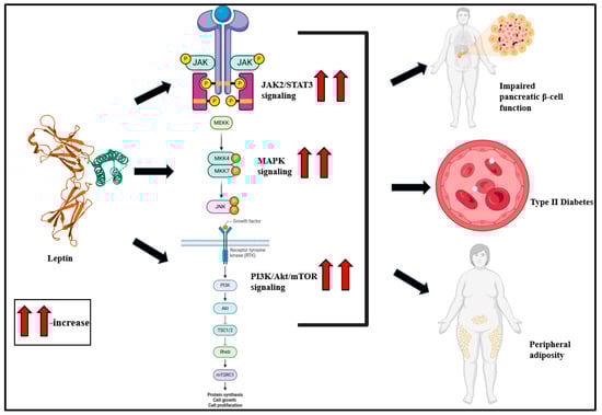 Biomolecules 15 00612 g003
