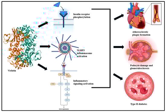 Biomolecules 15 00612 g004