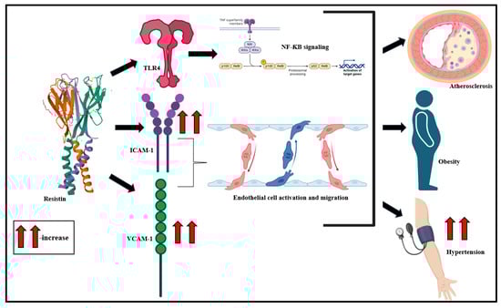 Biomolecules 15 00612 g005