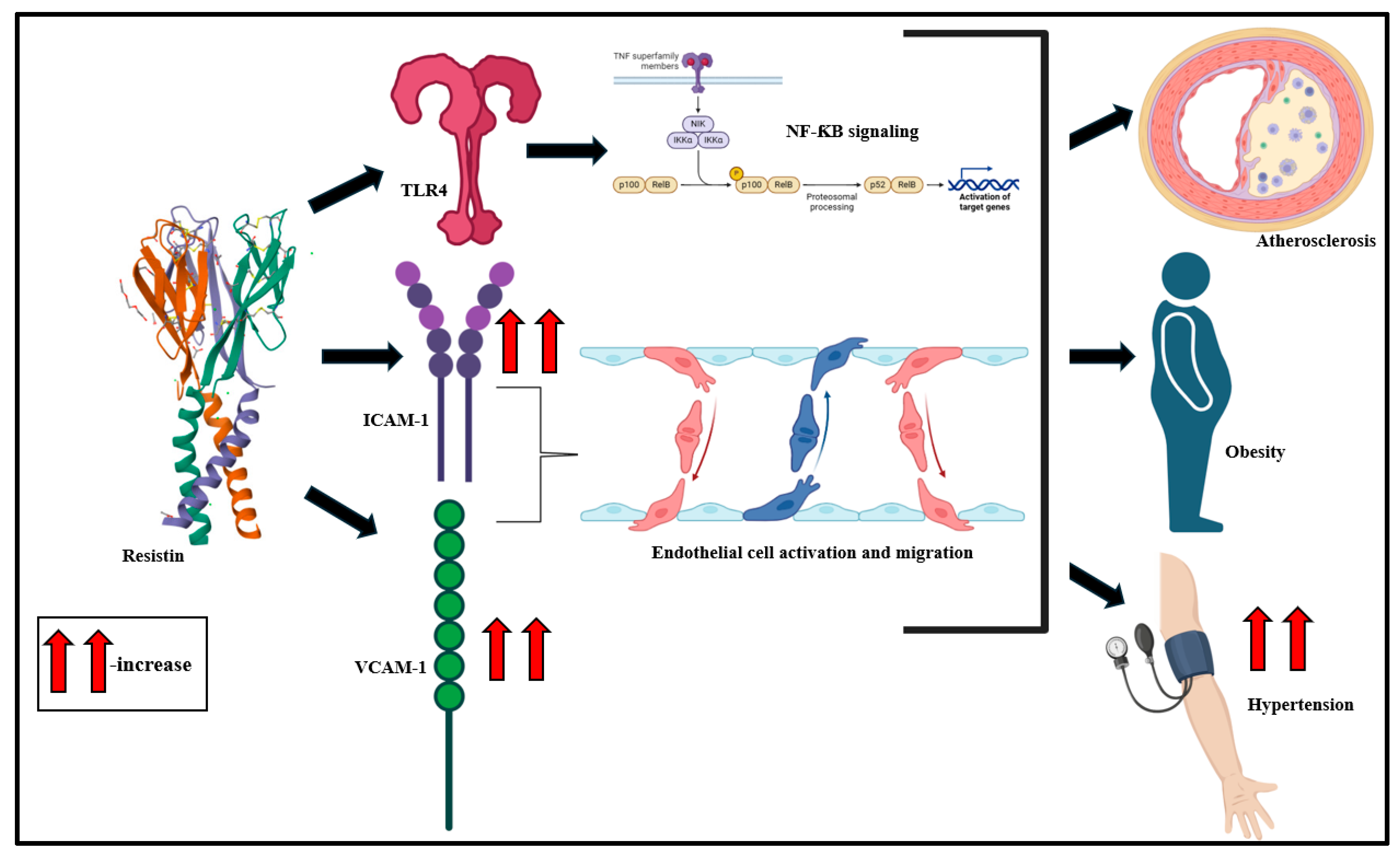 Biomolecules 15 00612 g005