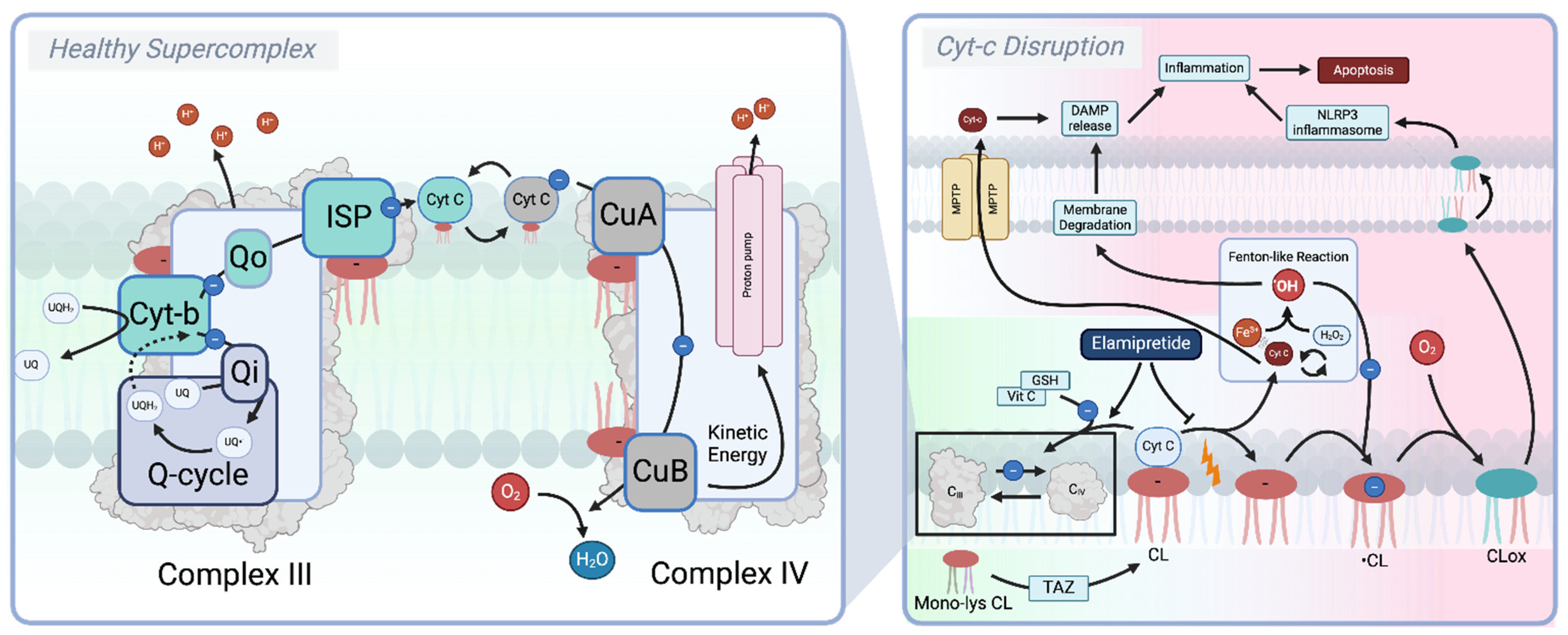 Biomolecules 15 00614 g005