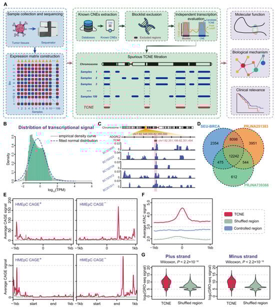 Biomolecules 15 00627 g001