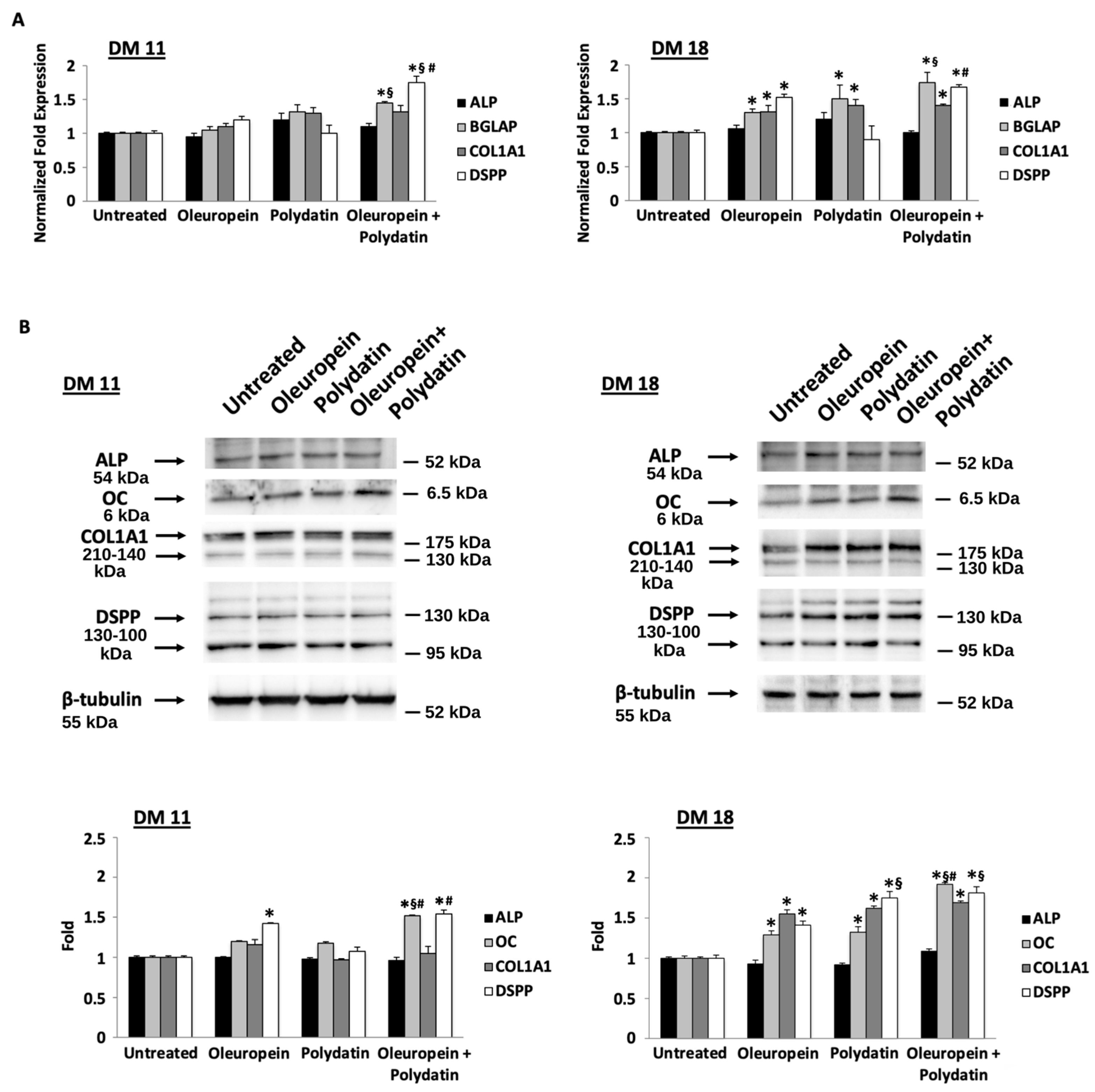 Biomolecules 15 00628 g002 Biomolecules 15 00628 g002