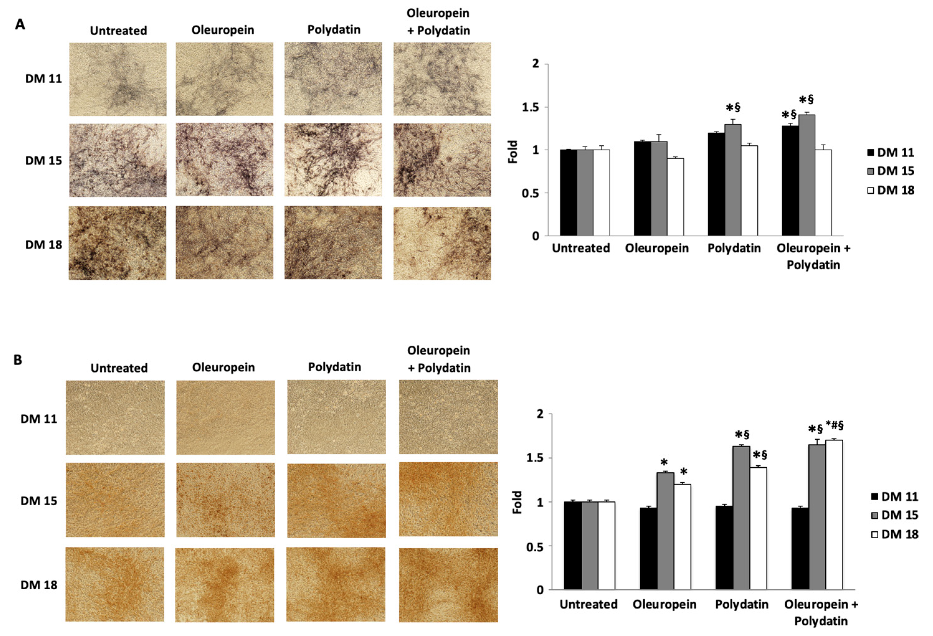 Biomolecules 15 00628 g003 Biomolecules 15 00628 g003