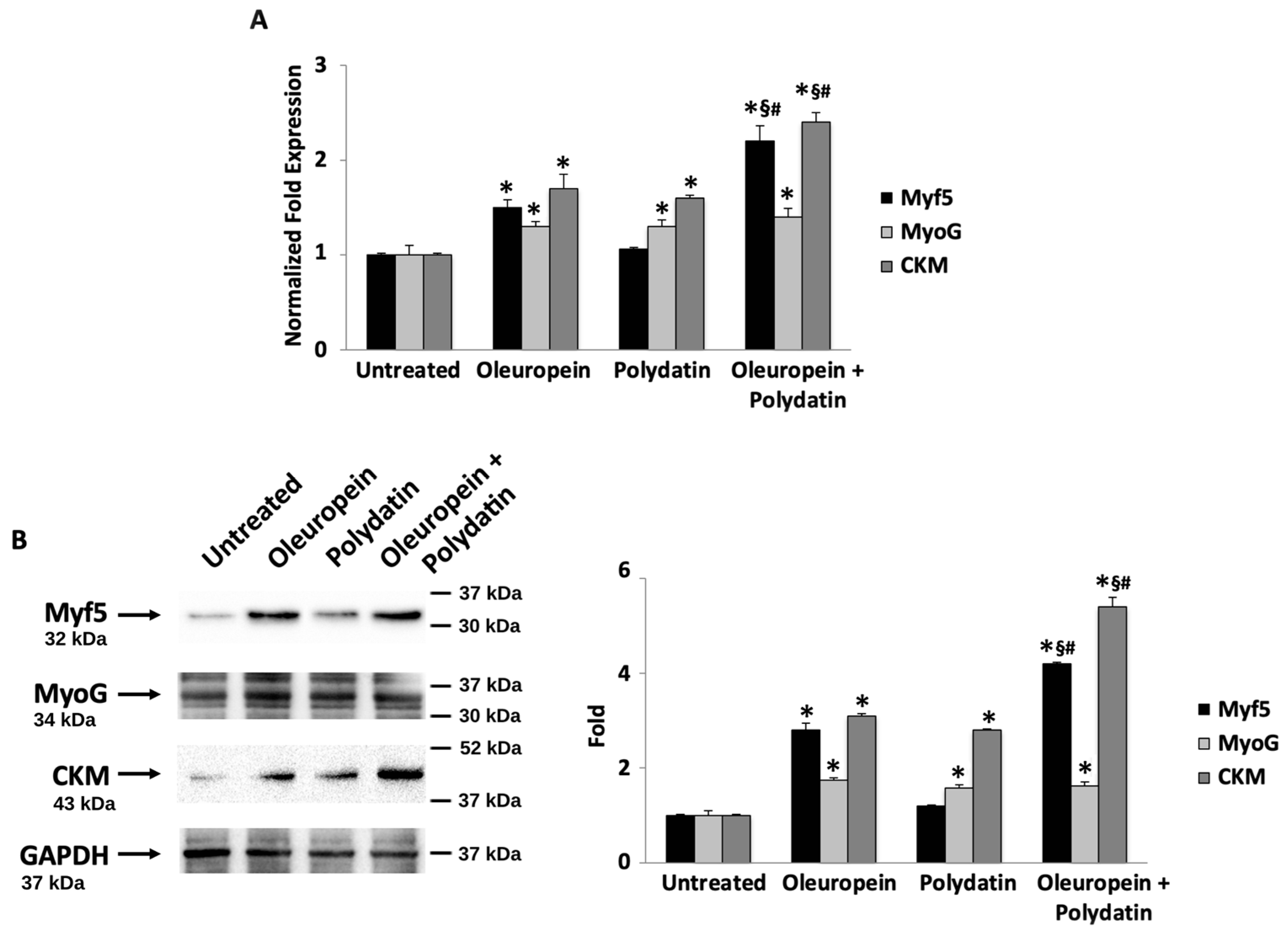 Biomolecules 15 00628 g005 Biomolecules 15 00628 g005