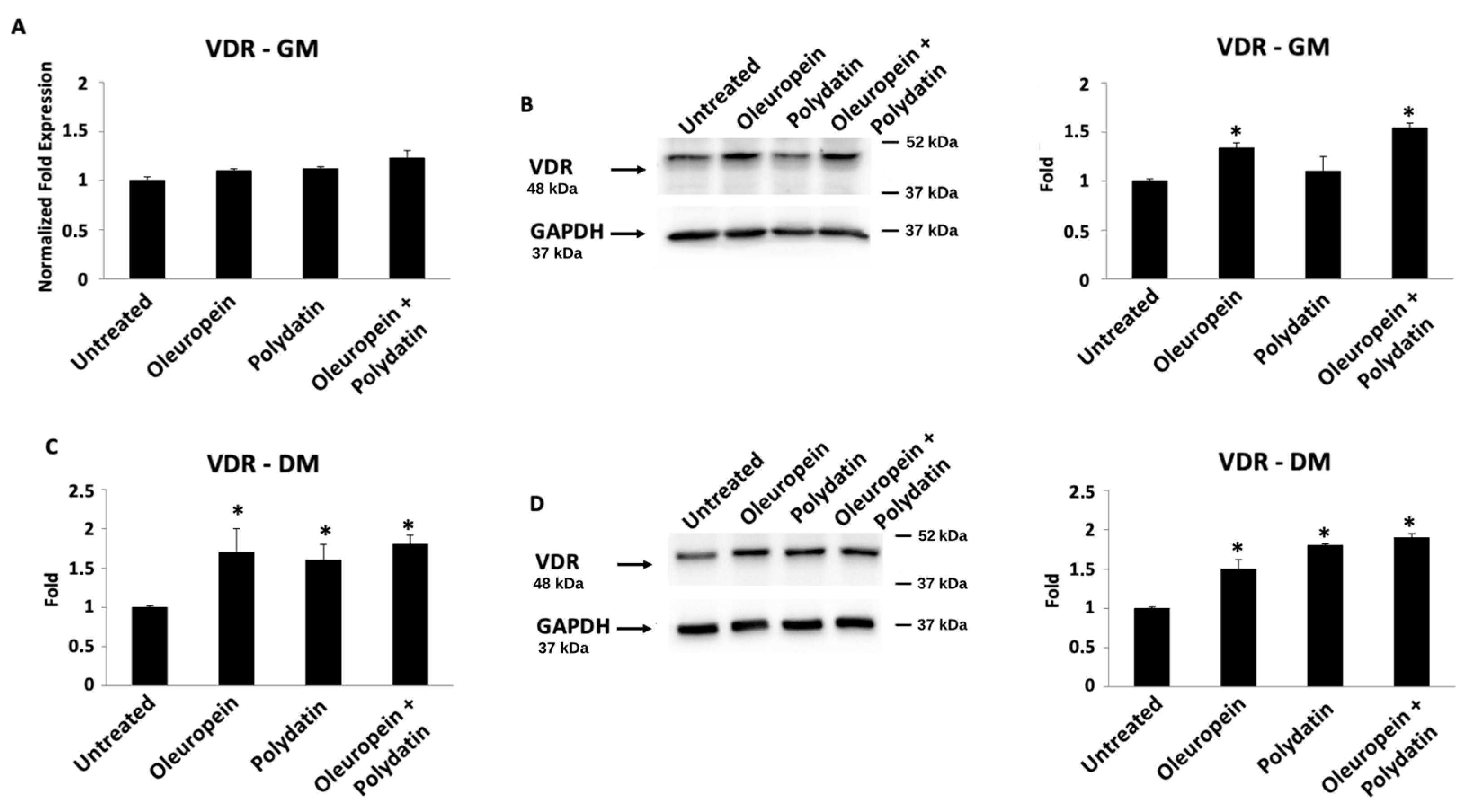 Biomolecules 15 00628 g007 Biomolecules 15 00628 g007