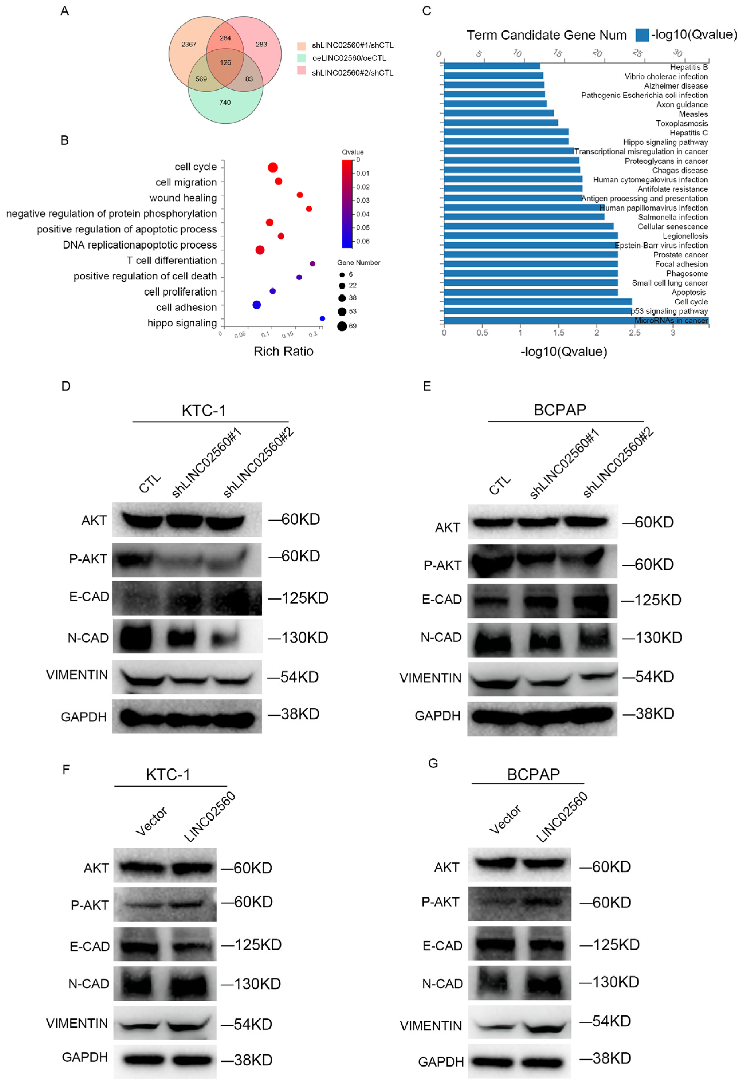 Biomolecules 15 00630 g003