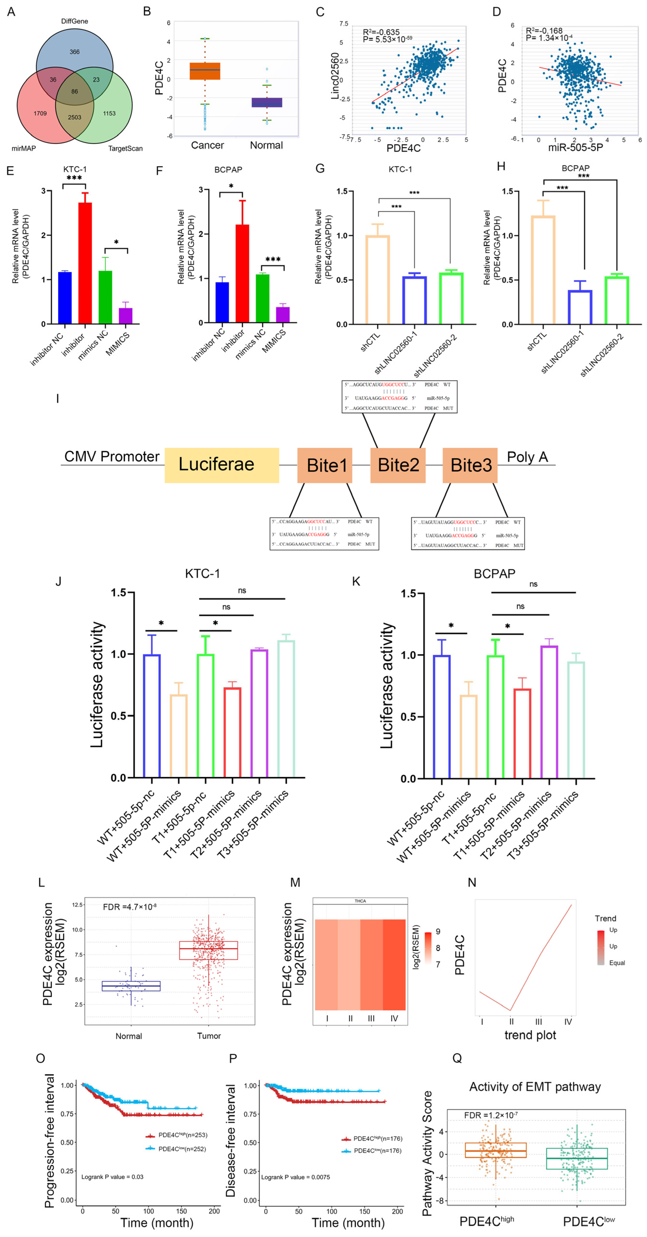 Biomolecules 15 00630 g006