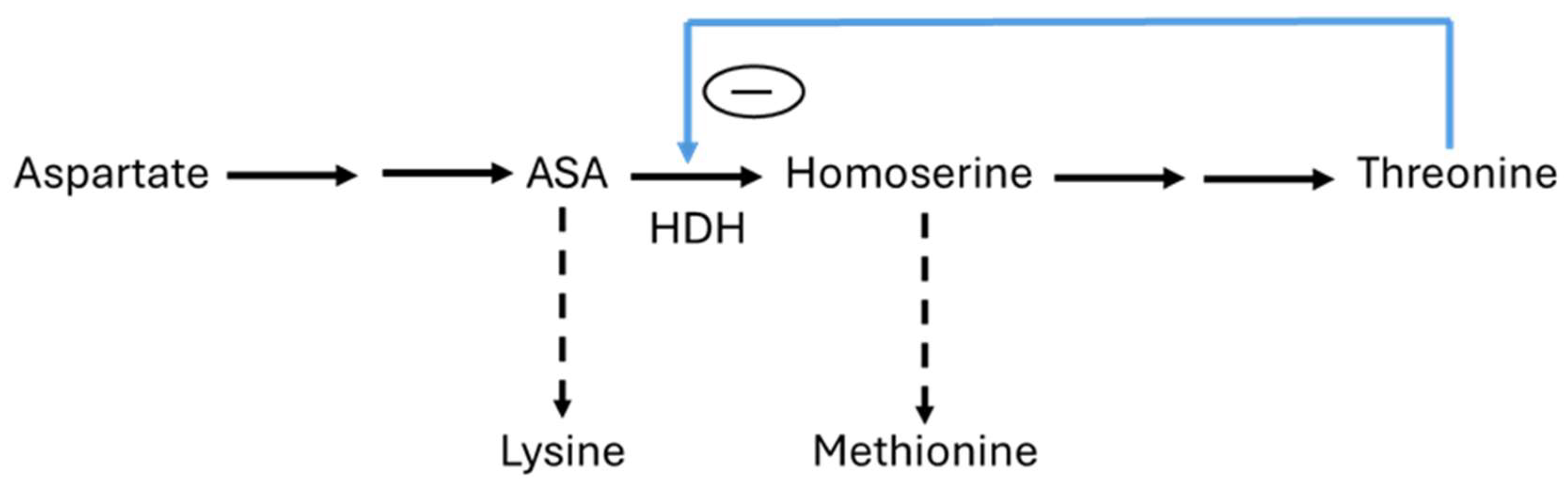 Biomolecules 15 00641 sch003 Biomolecules 15 00641 sch003