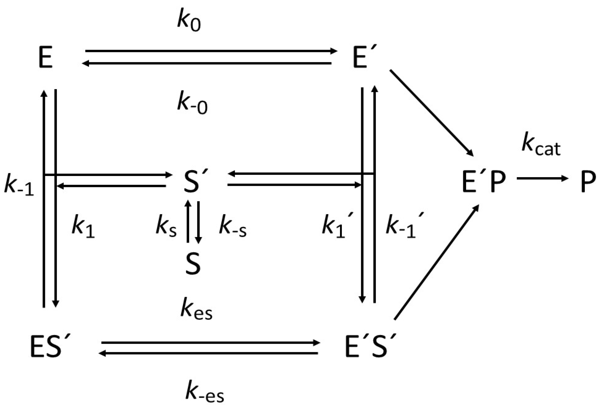 Biomolecules 15 00641 sch004 Biomolecules 15 00641 sch004