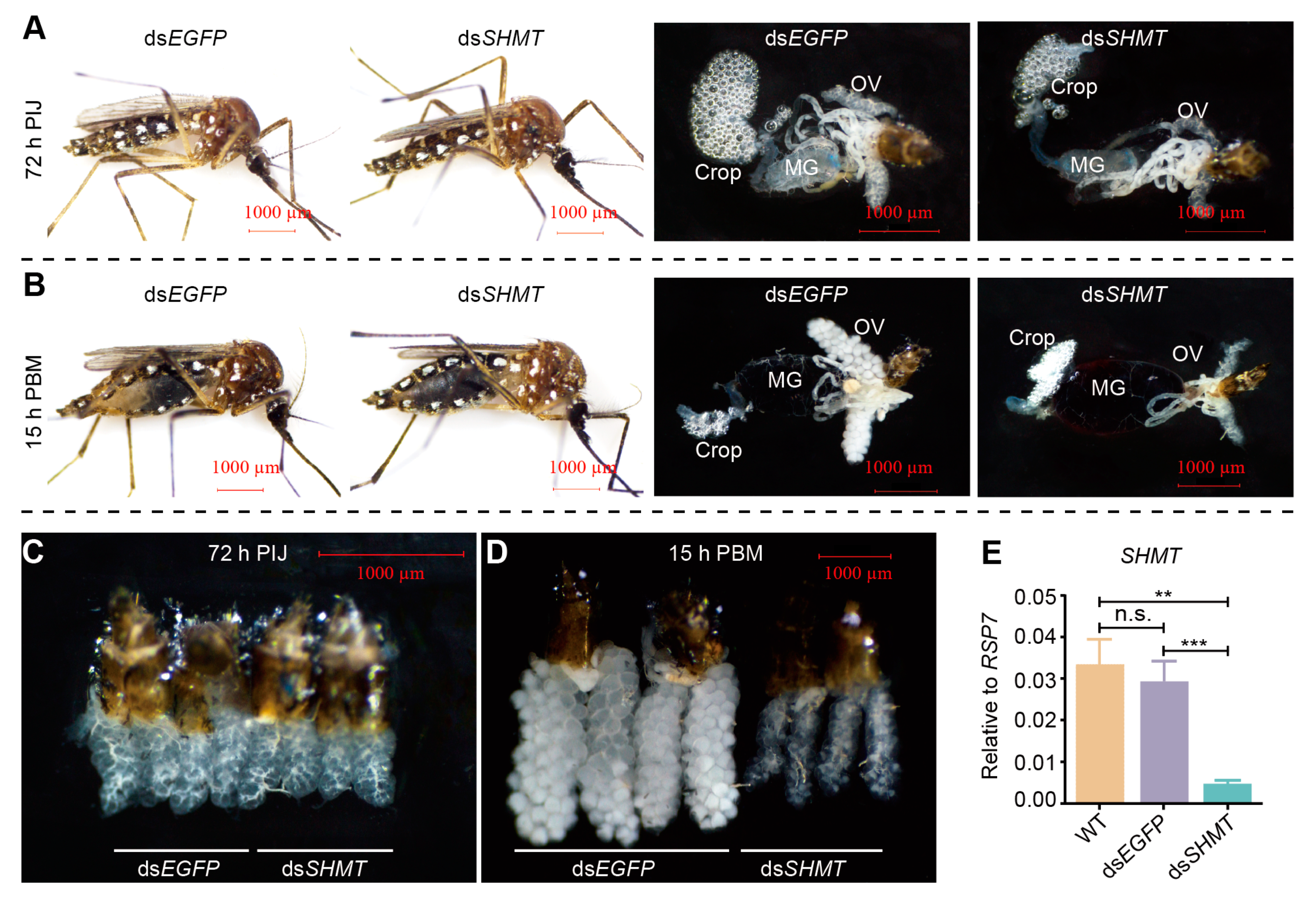 Biomolecules 15 00644 g001