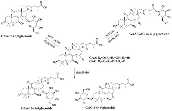 Biomolecules 15 00655 g004