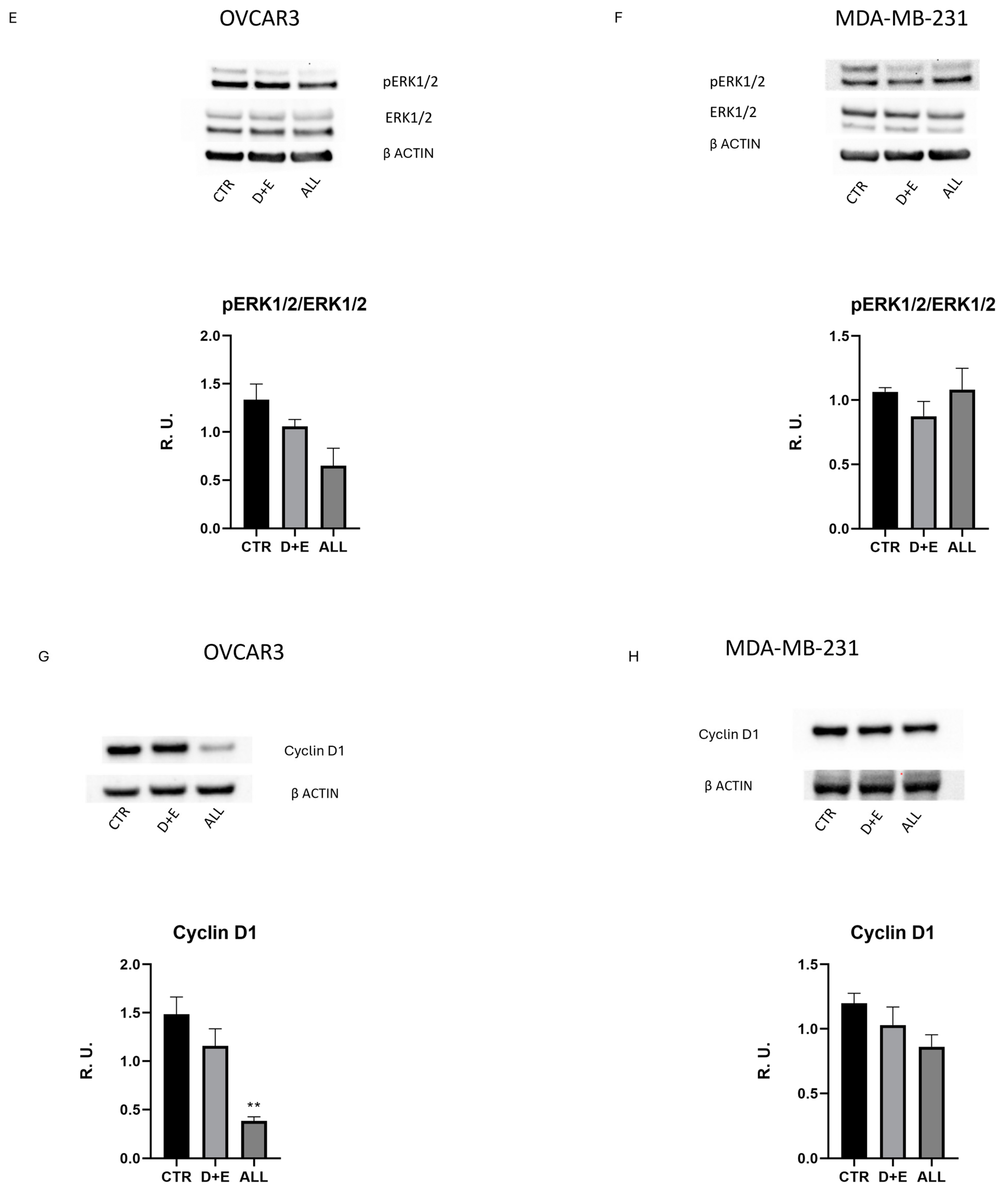 Biomolecules 15 00657 g002b