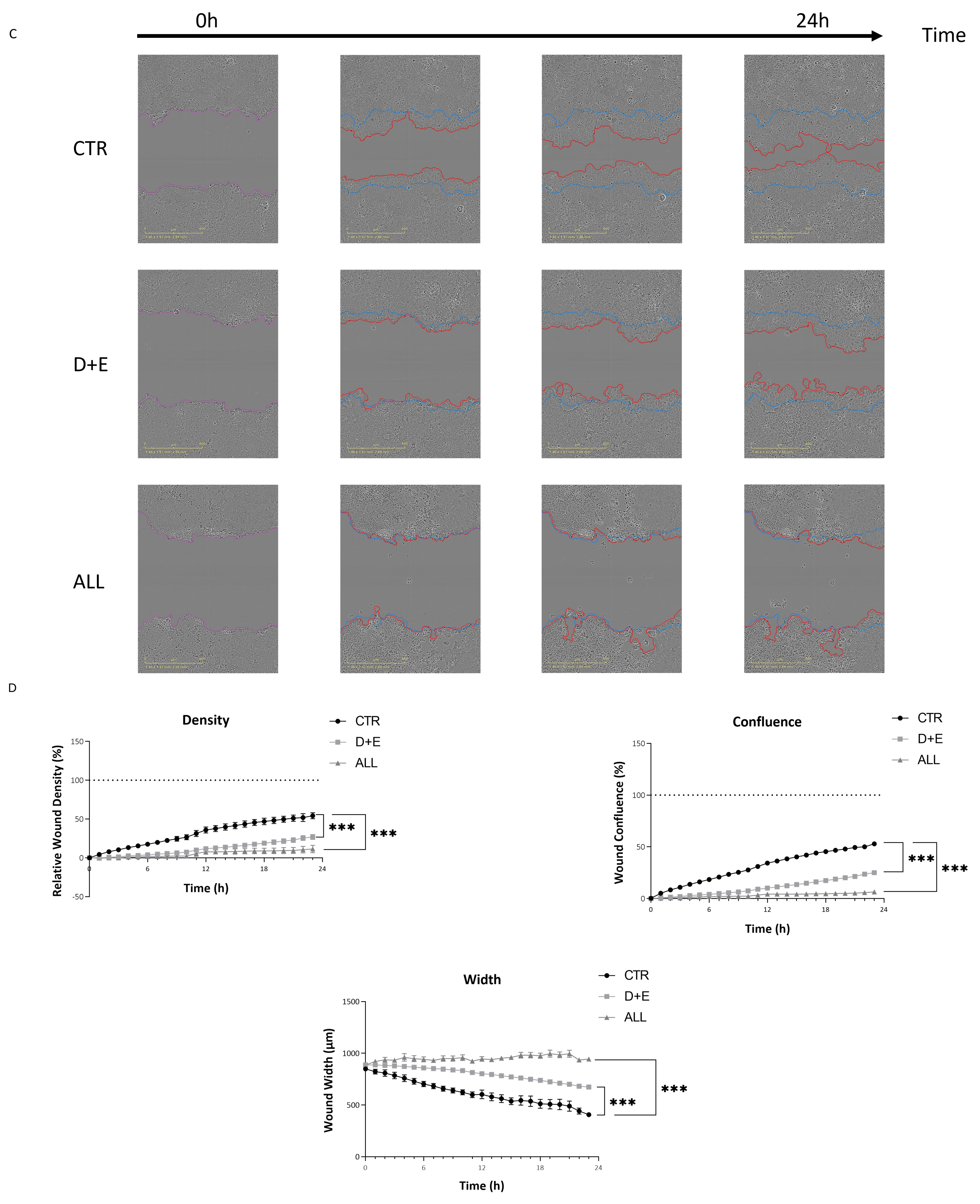 Biomolecules 15 00657 g003b