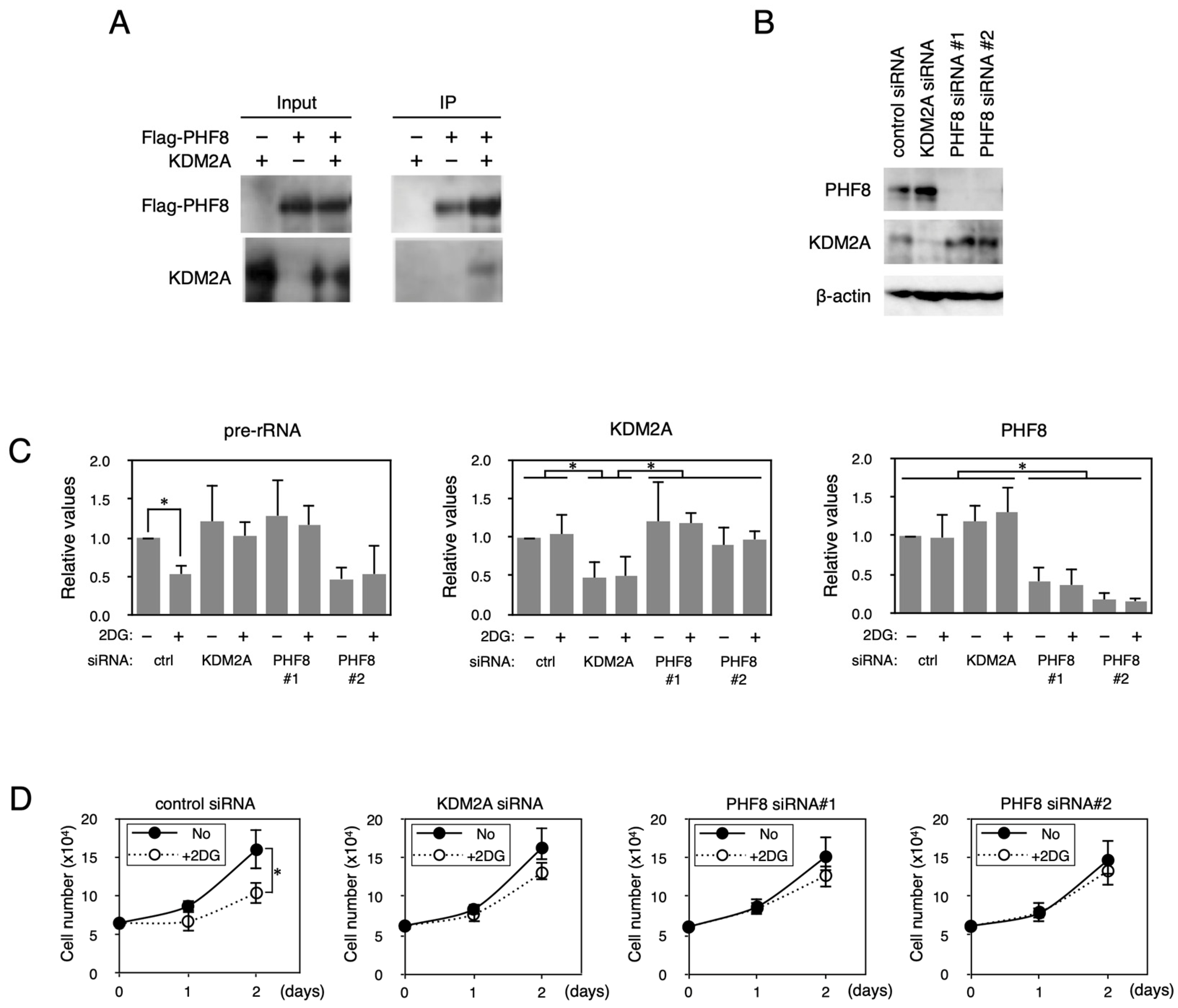 Biomolecules 15 00661 g001