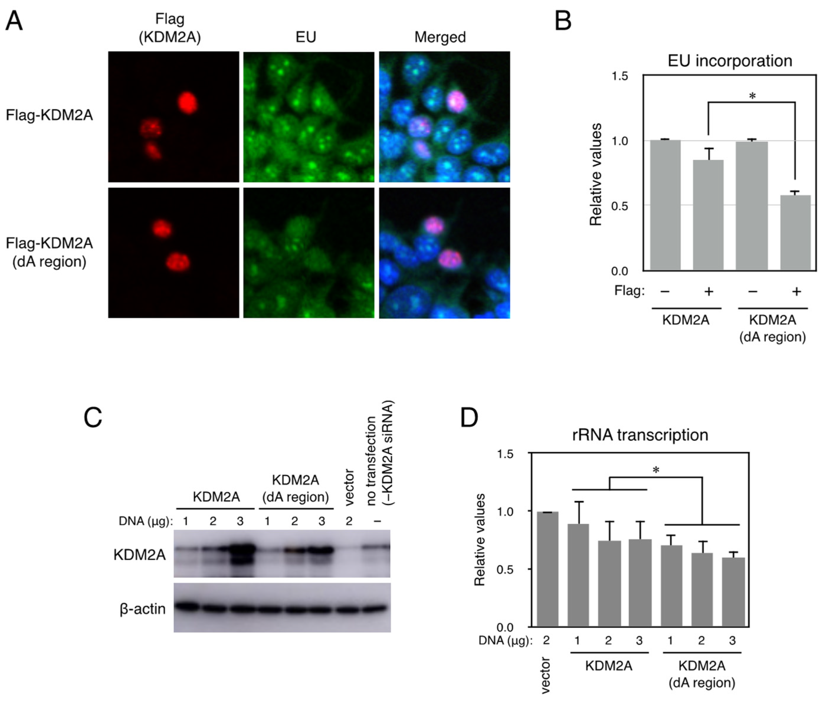 Biomolecules 15 00661 g003