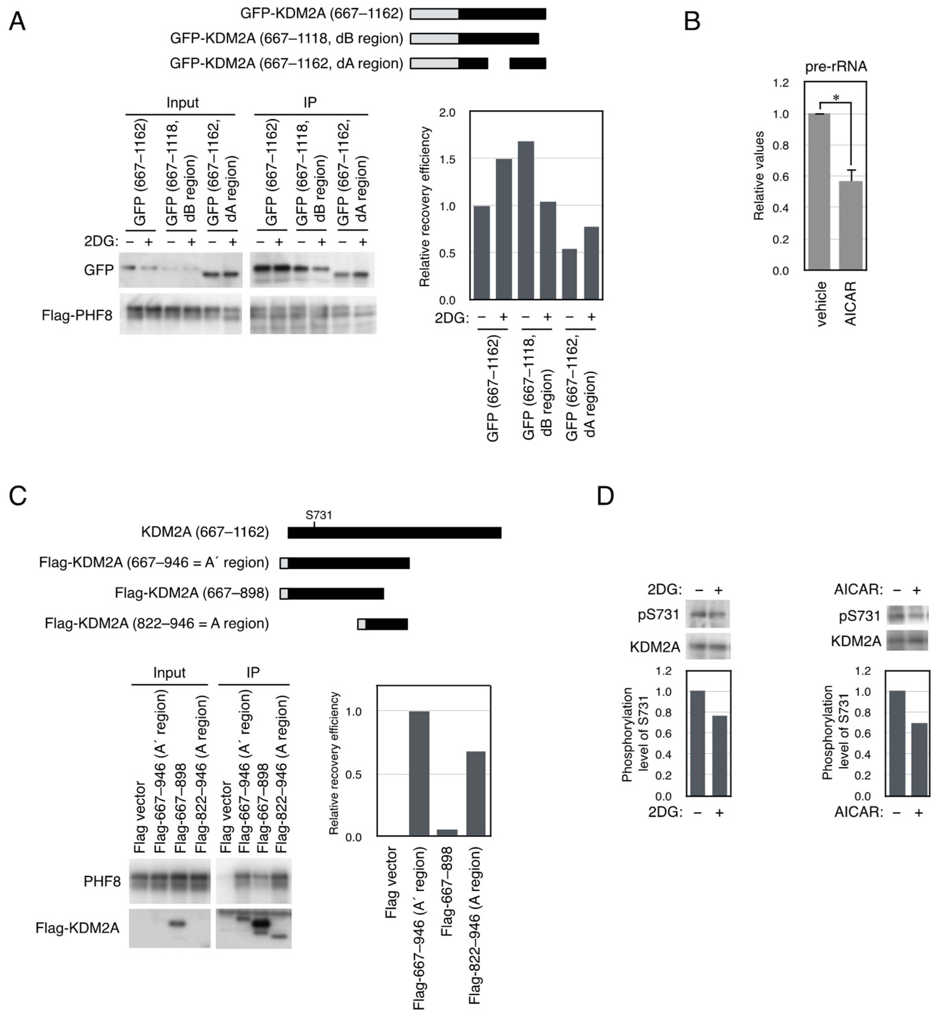 Biomolecules 15 00661 g004