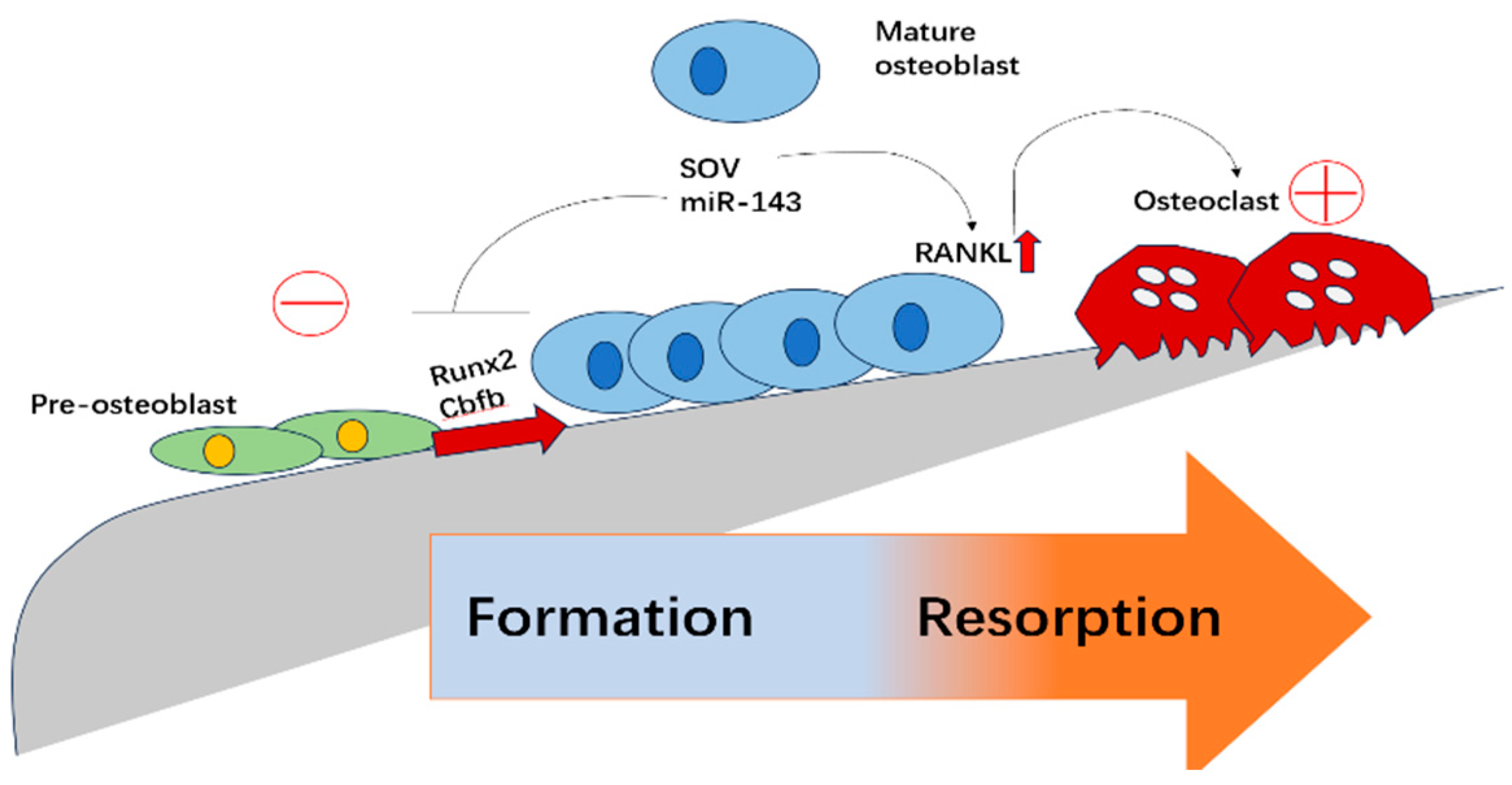 Biomolecules 15 00679 g001 Biomolecules 15 00679 g001