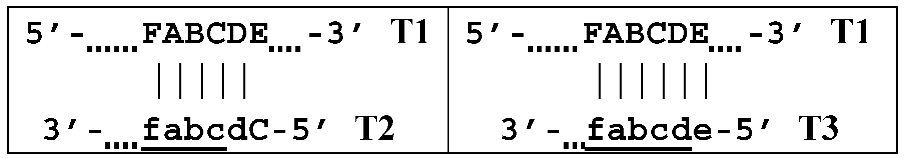 Biomolecules 15 00690 i001