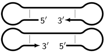 Biomolecules 15 00690 i003