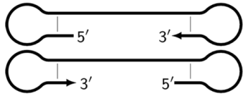 Biomolecules 15 00690 i004
