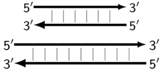 Biomolecules 15 00690 i007