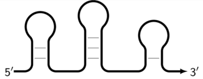 Biomolecules 15 00690 i011