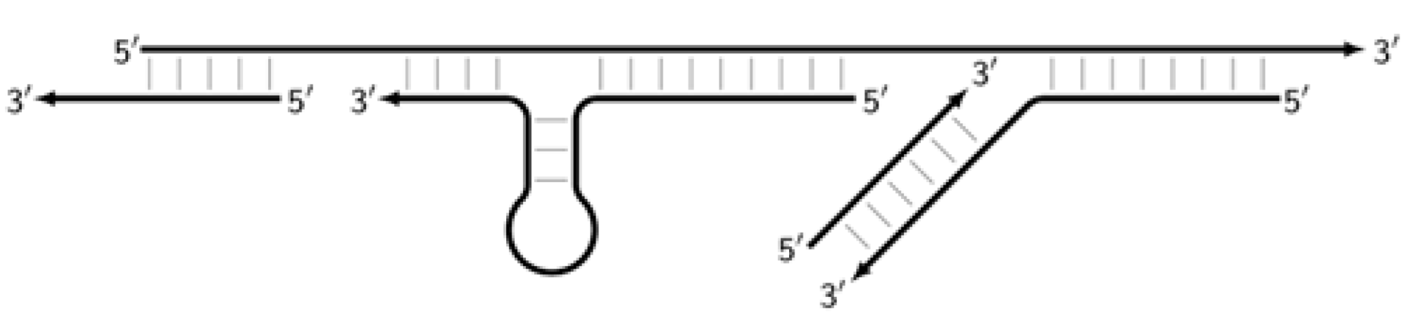 Biomolecules 15 00690 i012