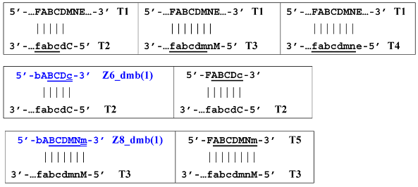 Biomolecules 15 00690 i033