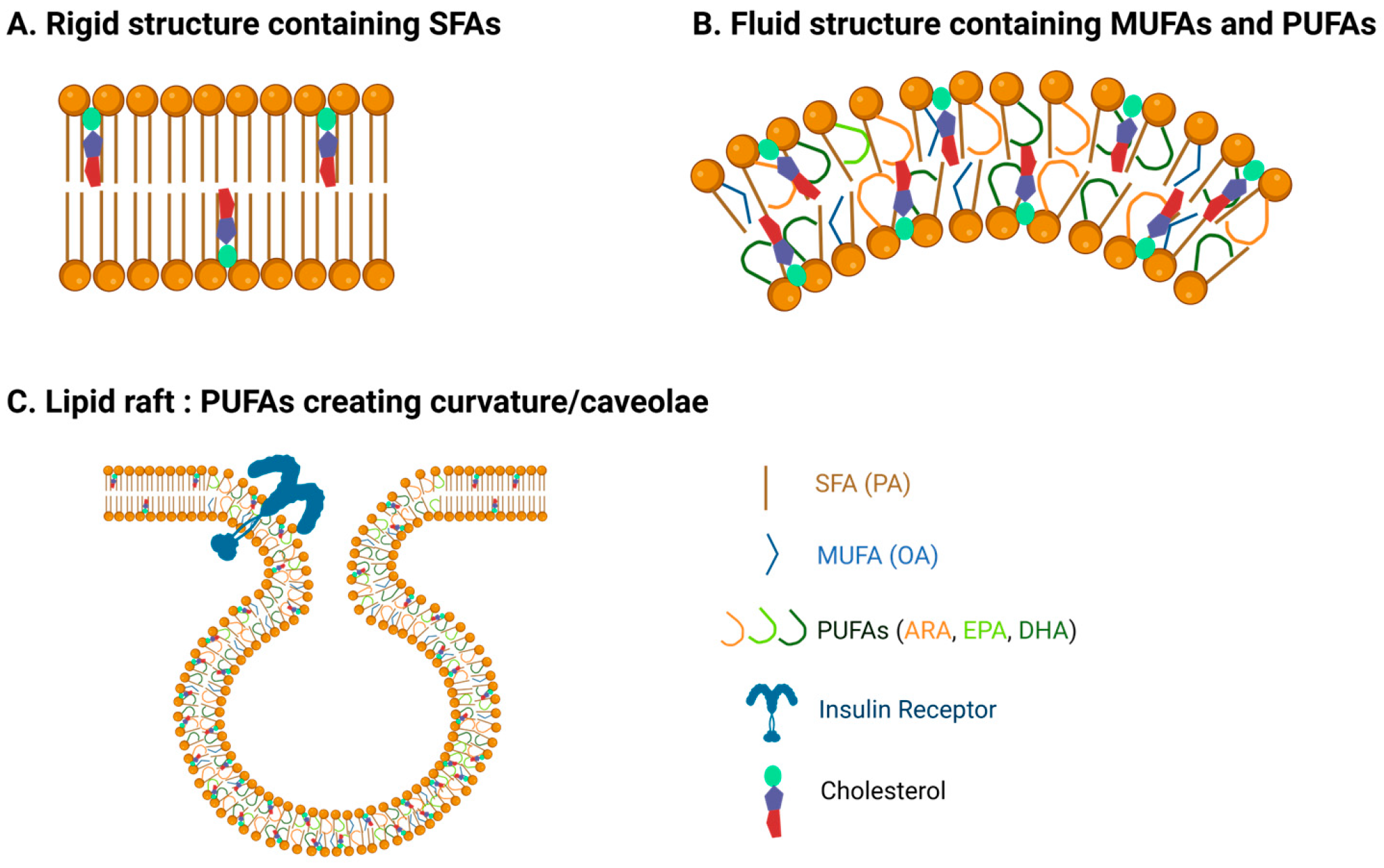 Biomolecules 15 00696 g001