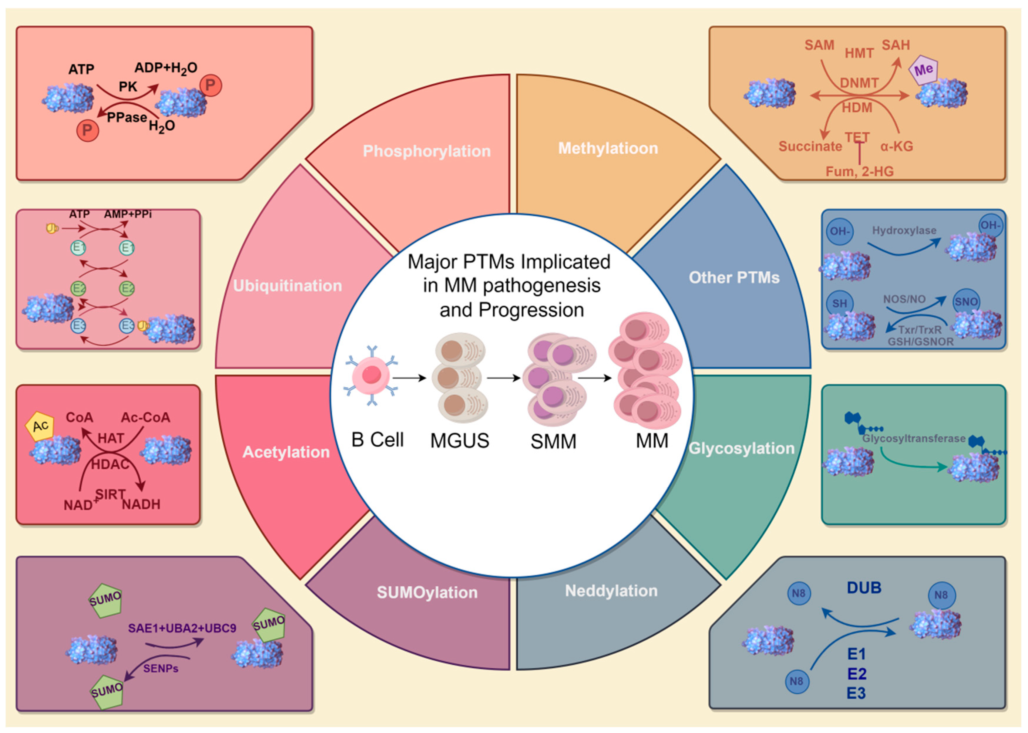 Biomolecules 15 00702 g001