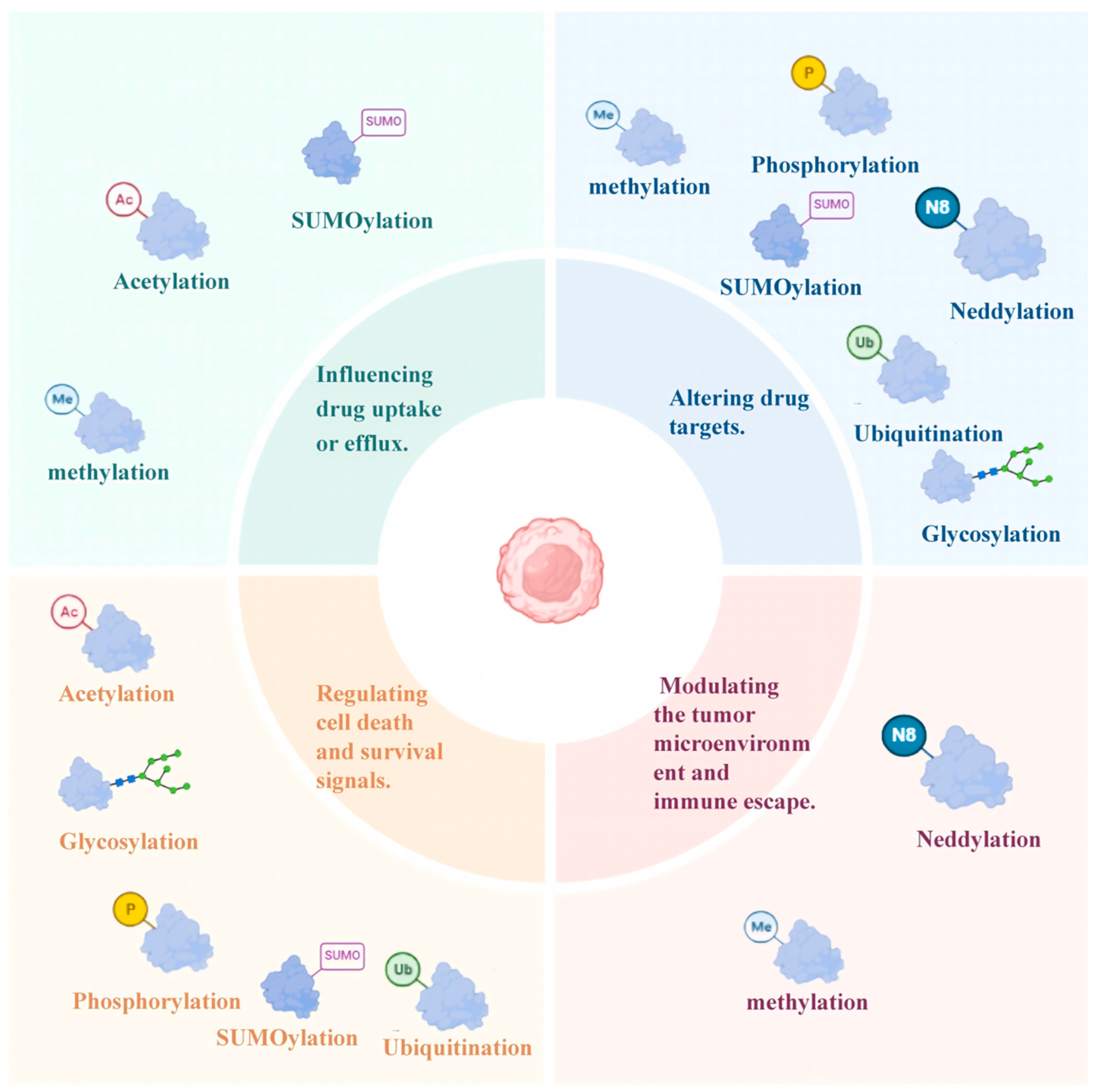 Biomolecules 15 00702 g002
