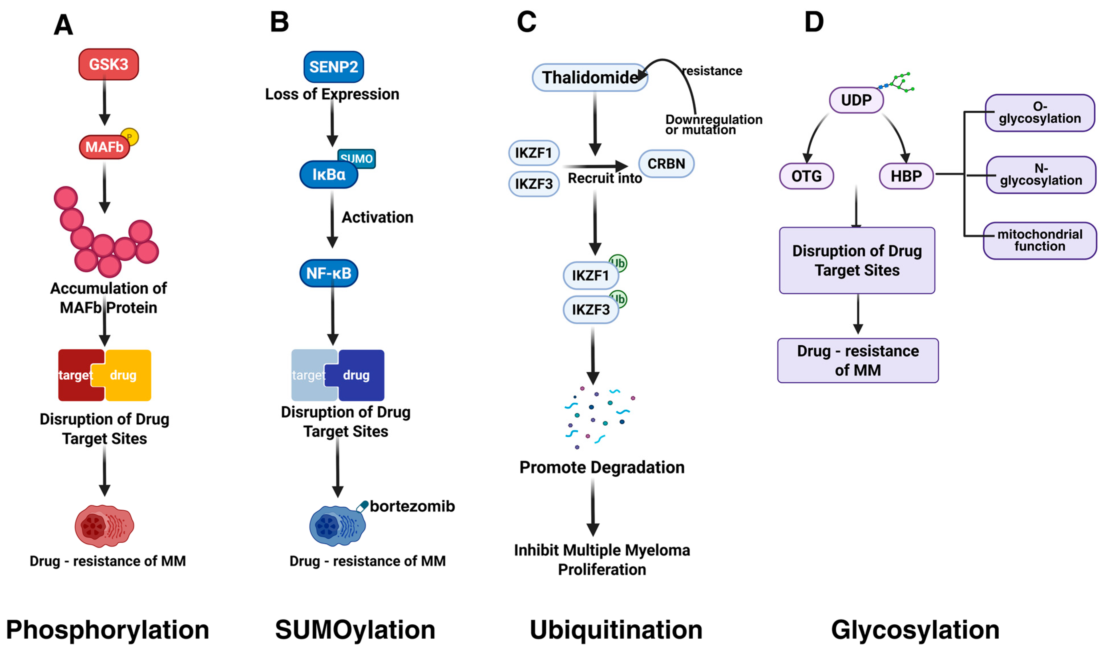 Biomolecules 15 00702 g004