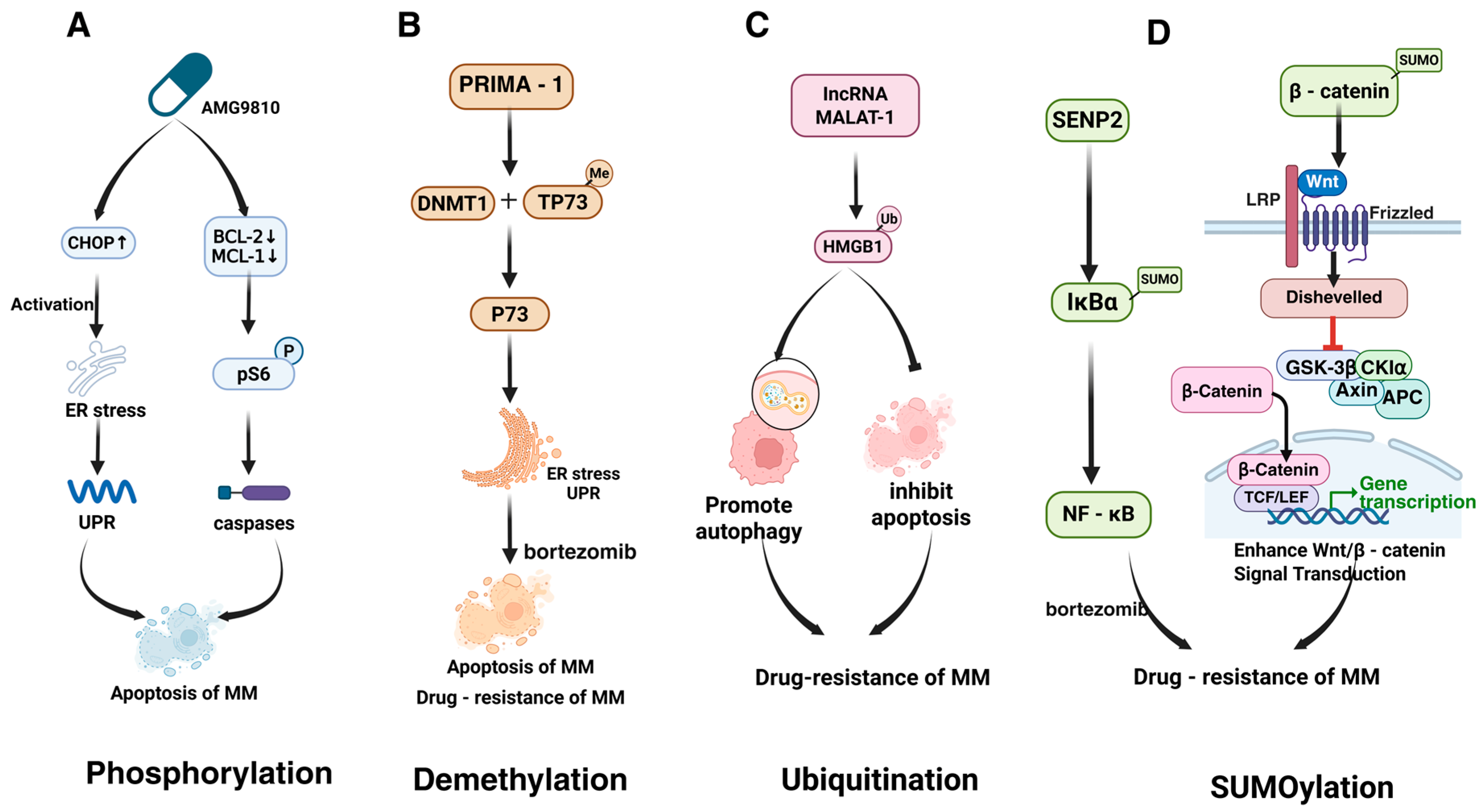 Biomolecules 15 00702 g005