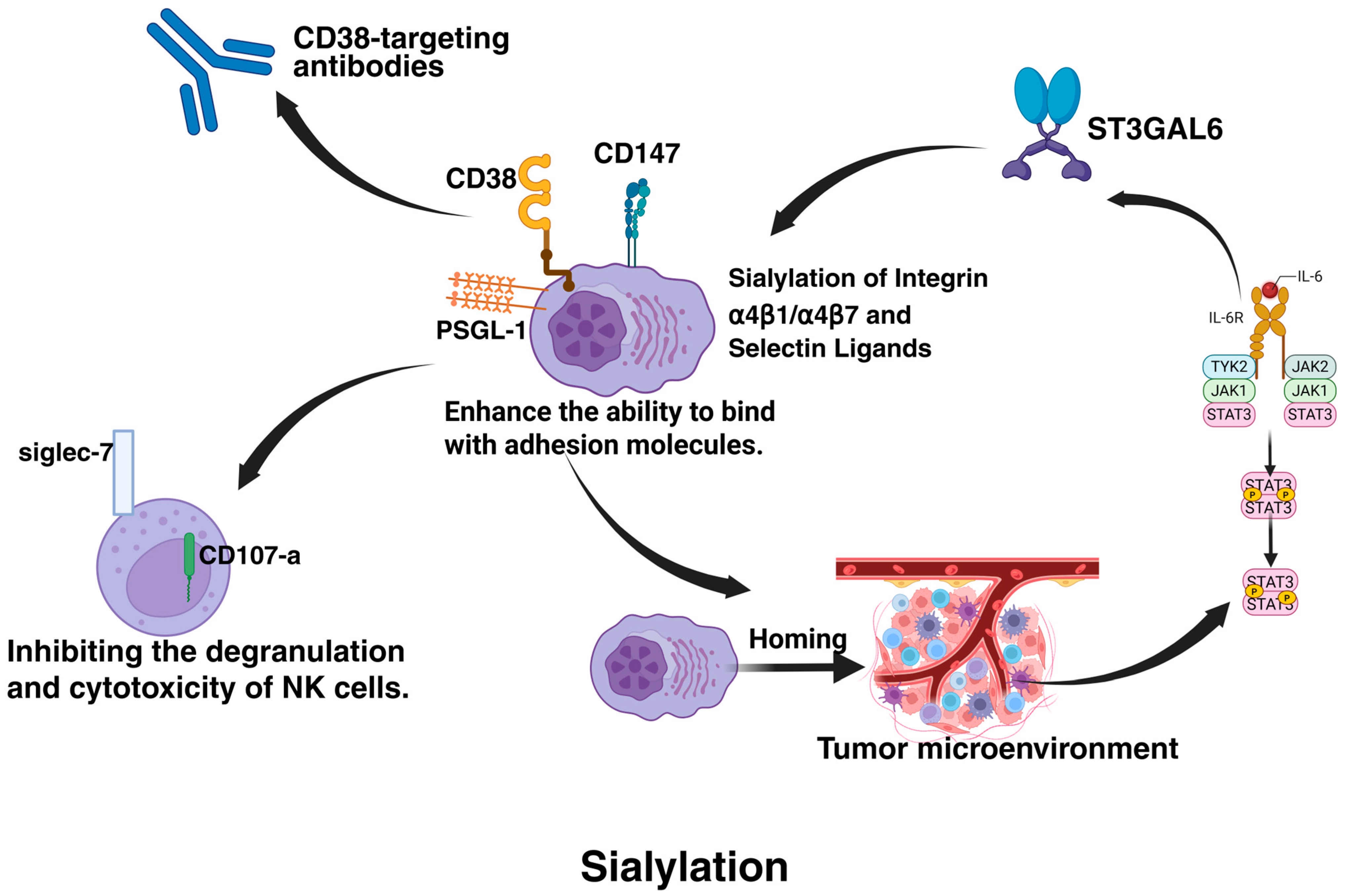 Biomolecules 15 00702 g006