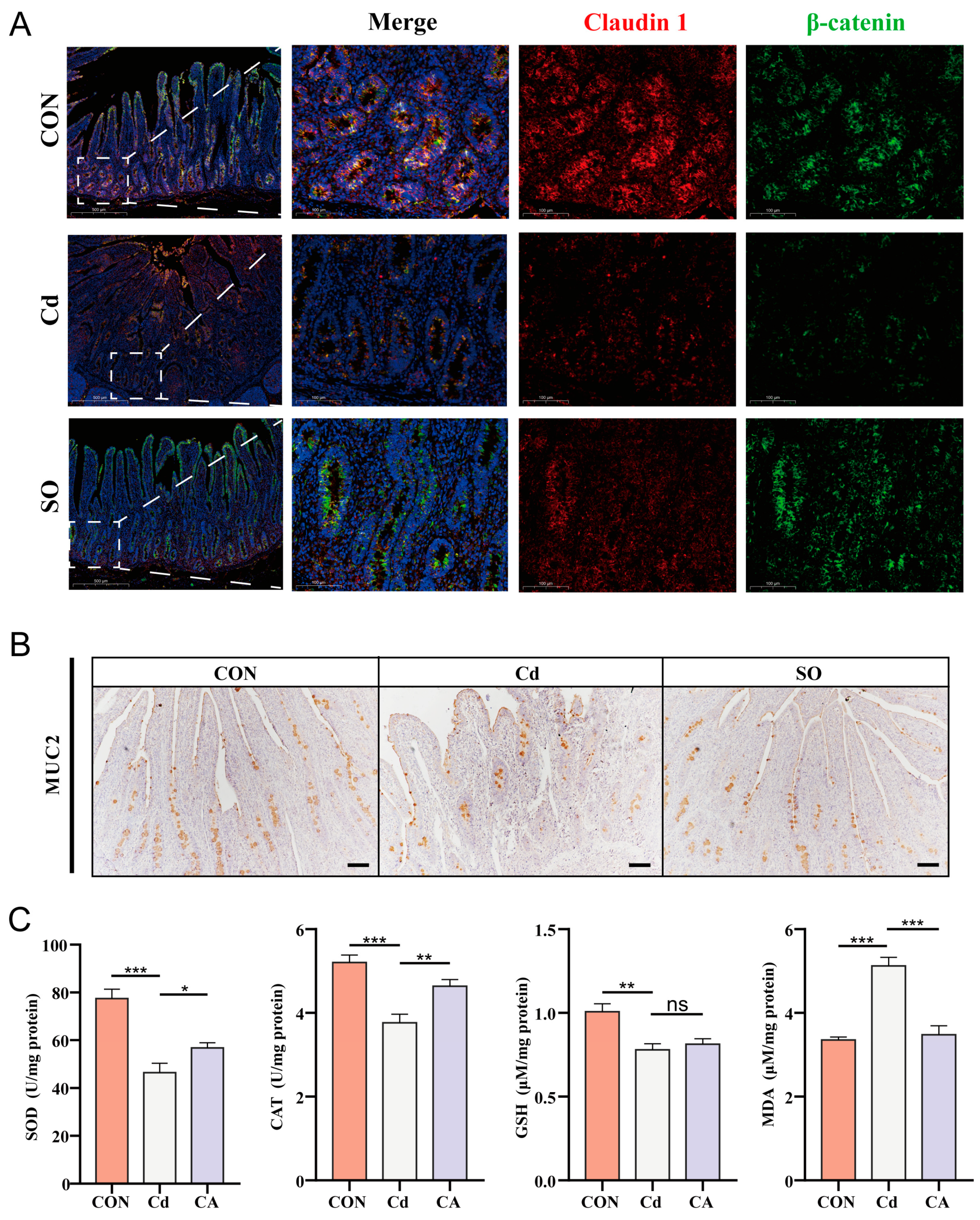 Biomolecules 15 00707 g002