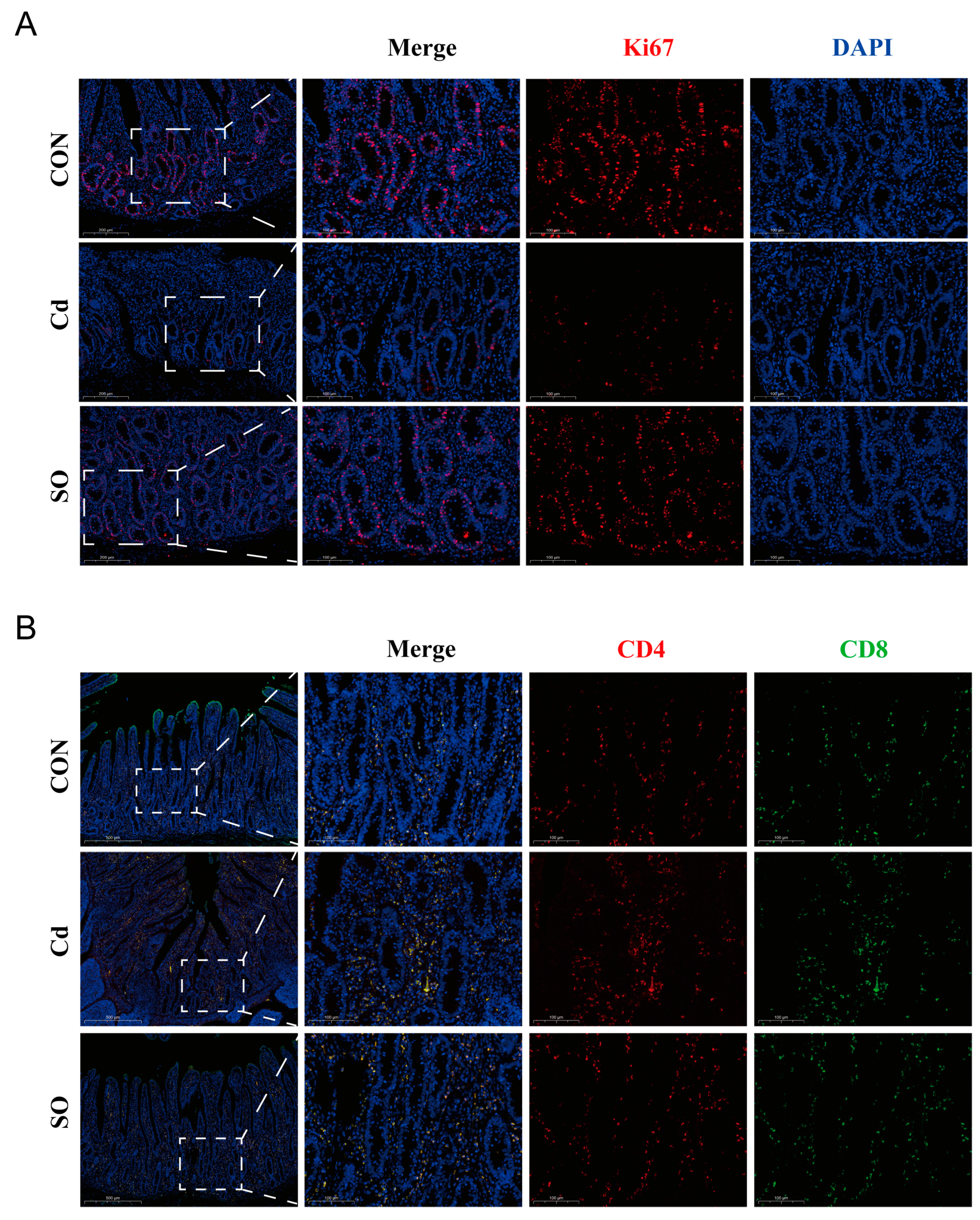 Biomolecules 15 00707 g003