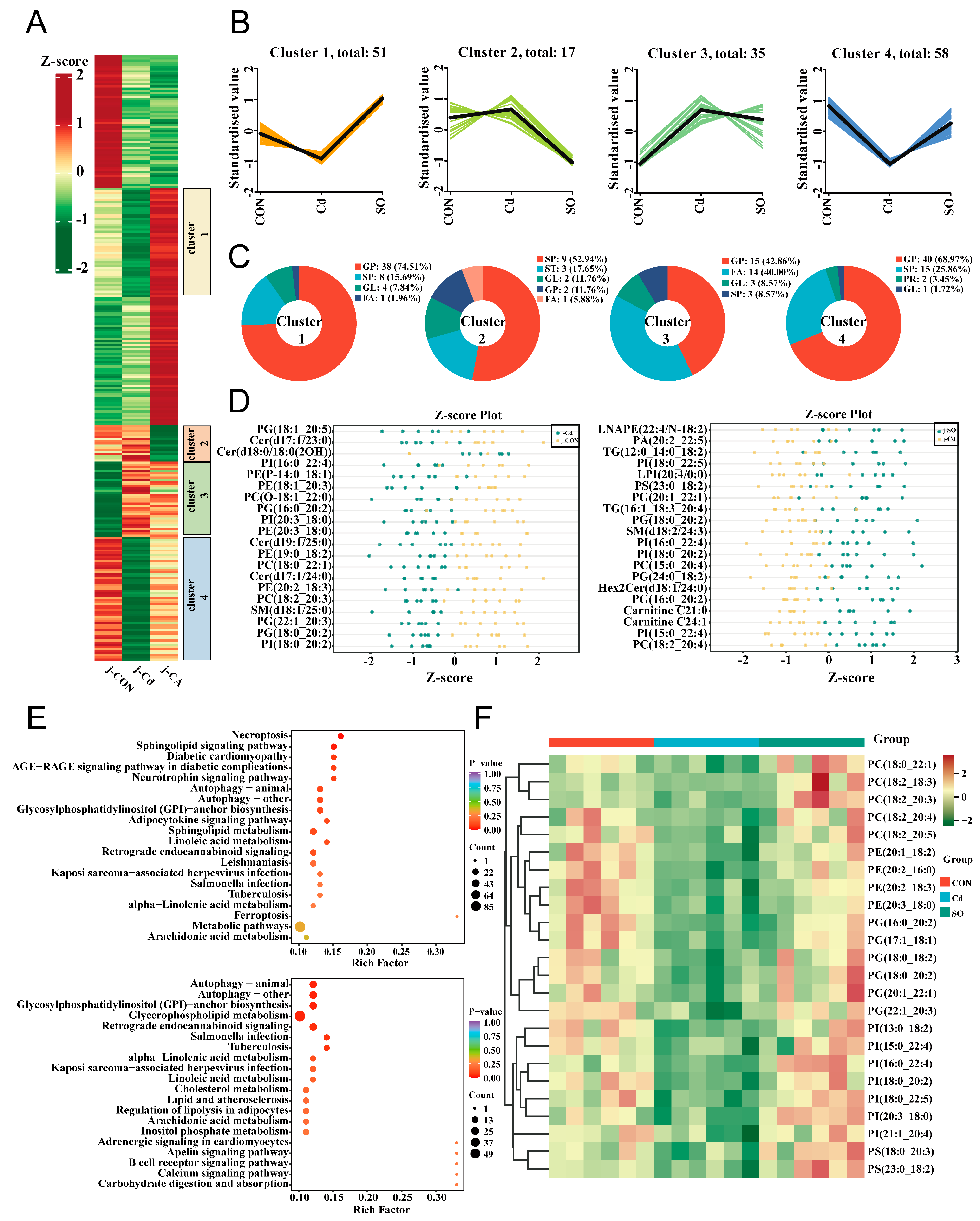 Biomolecules 15 00707 g004