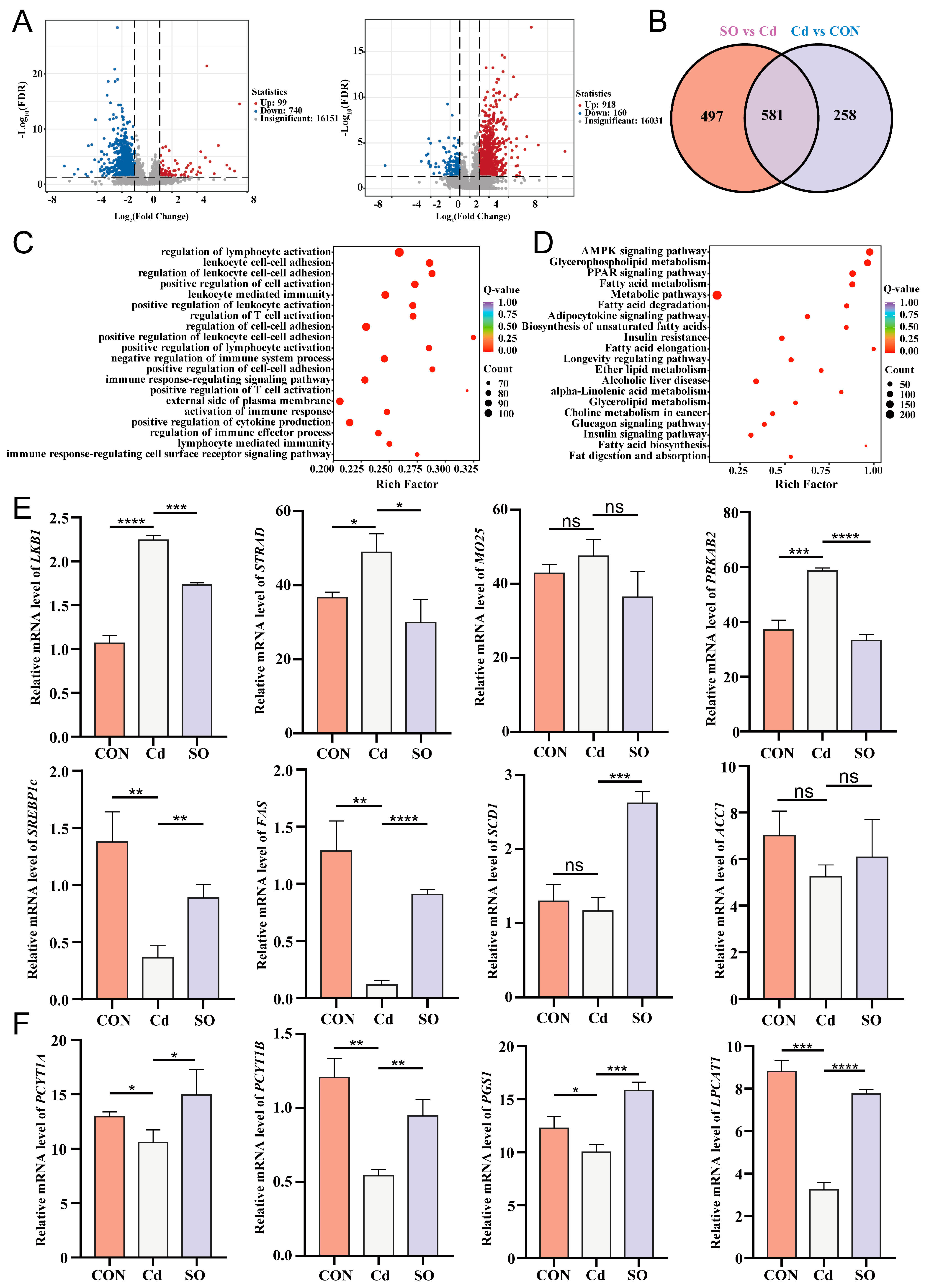 Biomolecules 15 00707 g005